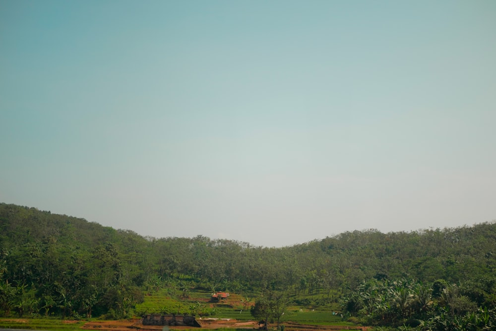 a large body of water surrounded by lush green trees