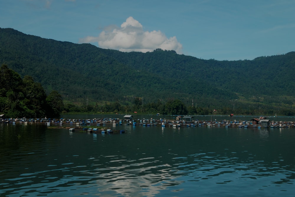 a body of water with a mountain in the background