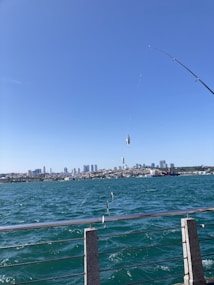 A fishing rod is held over a body of water, with multiple small fish caught on the line. There is a railing in the foreground along a waterfront, and a city skyline is visible in the distance. The water appears choppy with waves.