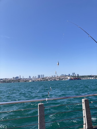 Exploring the Best Fishing Spots in Tomahawk, Wisconsin