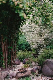 Lush garden area perfect for relaxing or entertaining guests.