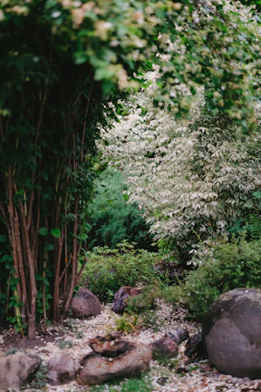 Lush landscaped garden area inviting residents to relax outdoors.