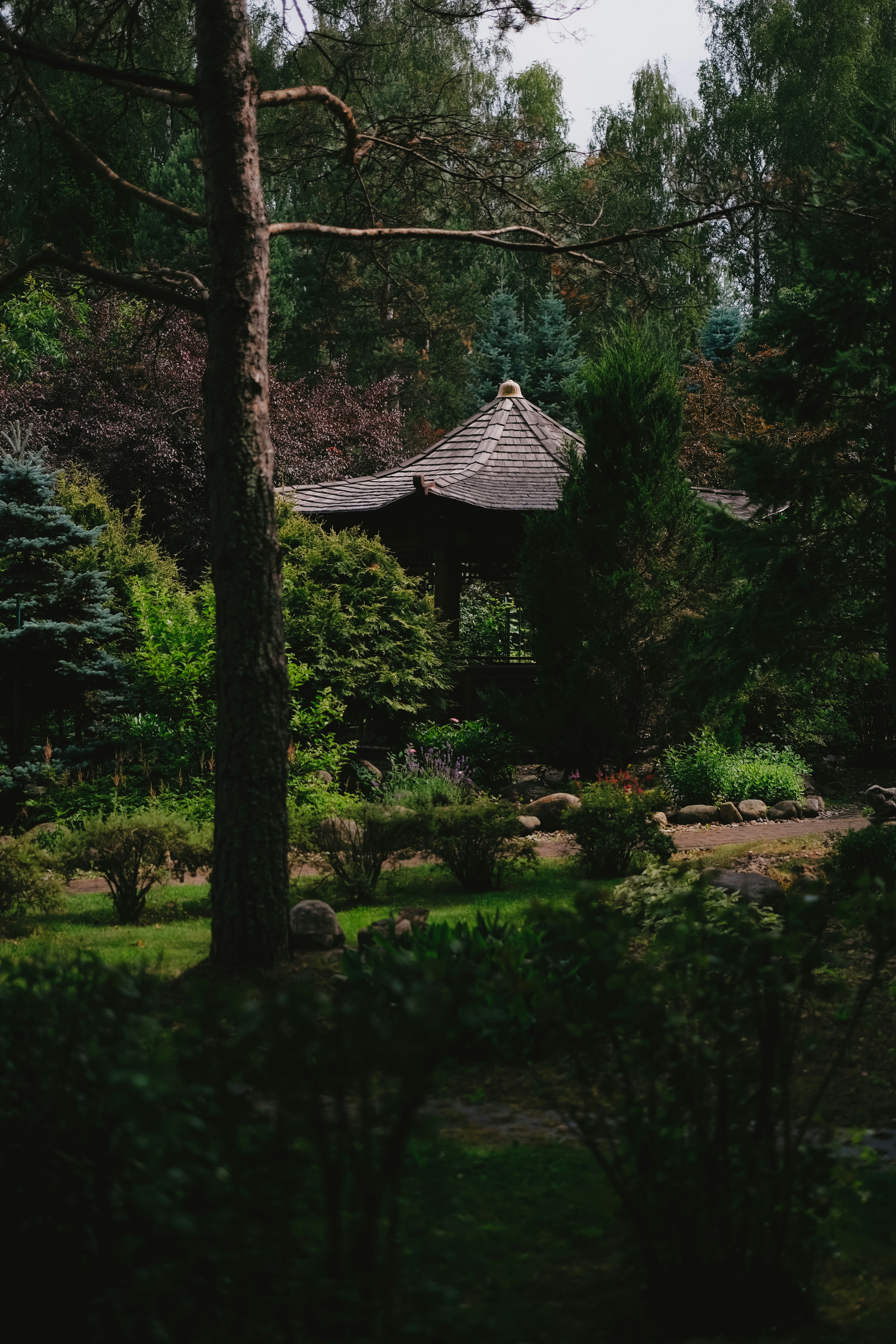 Photo by rogovnroll