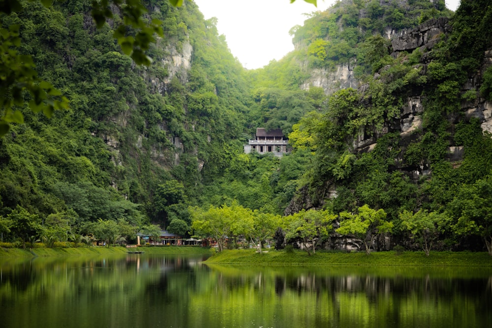 a body of water surrounded by lush green trees