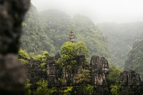 A serene landscape featuring lush green trees and rocky cliffs with a small pagoda standing prominently among the foliage. The scene is enveloped in a gentle mist, enhancing the tranquility and mystery of the natural surroundings.