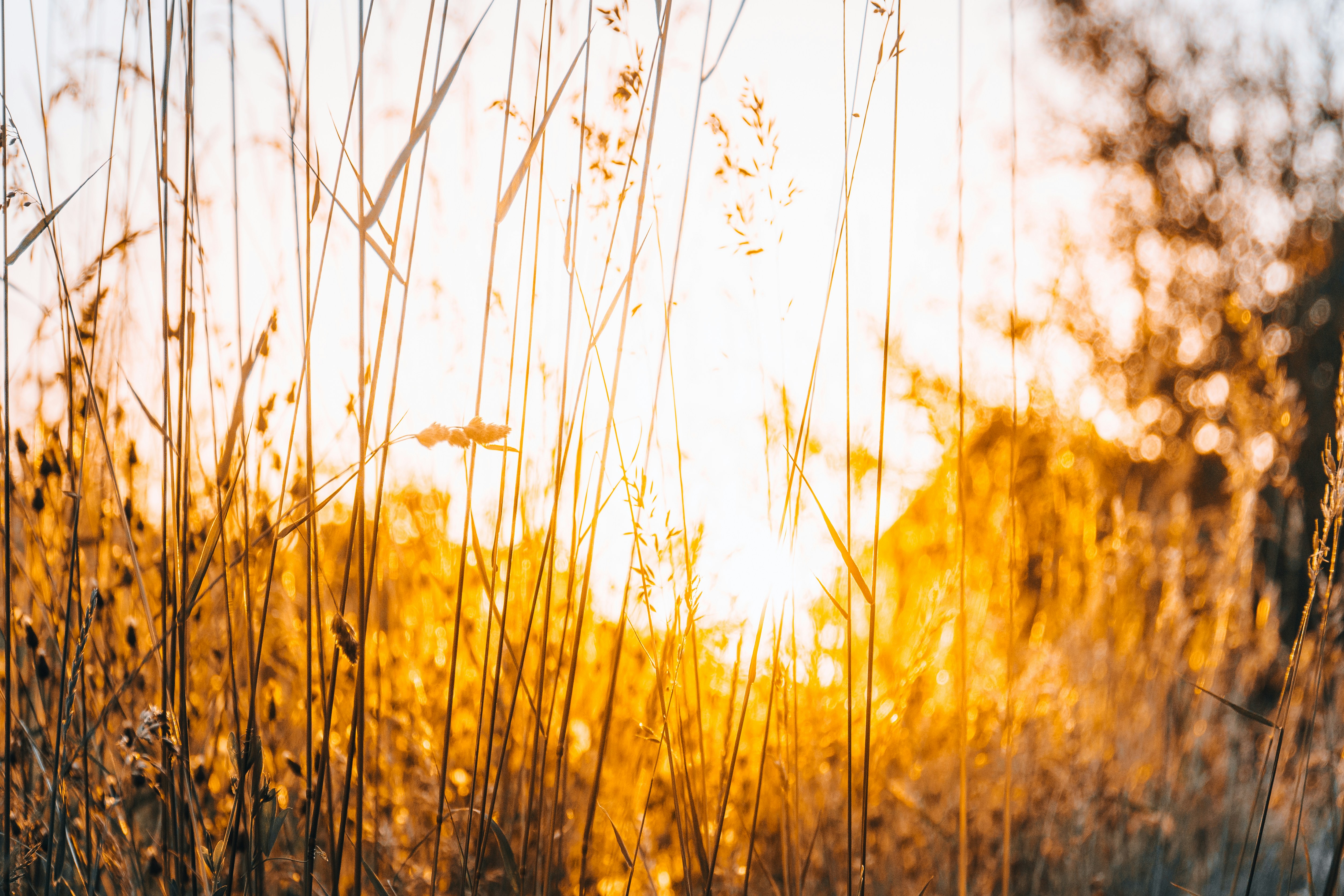 Photo by masoodaslami