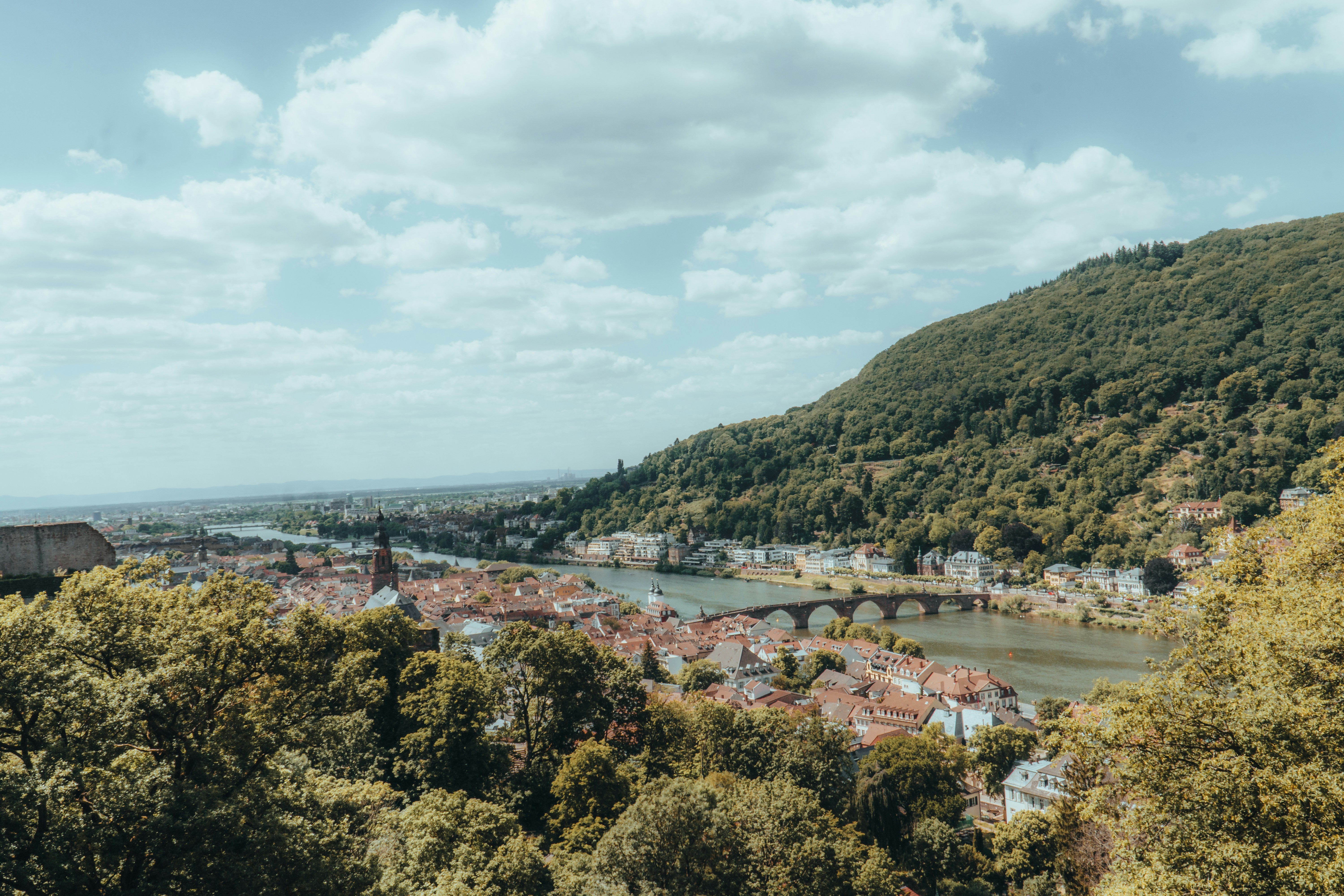 Photo by masoodaslami