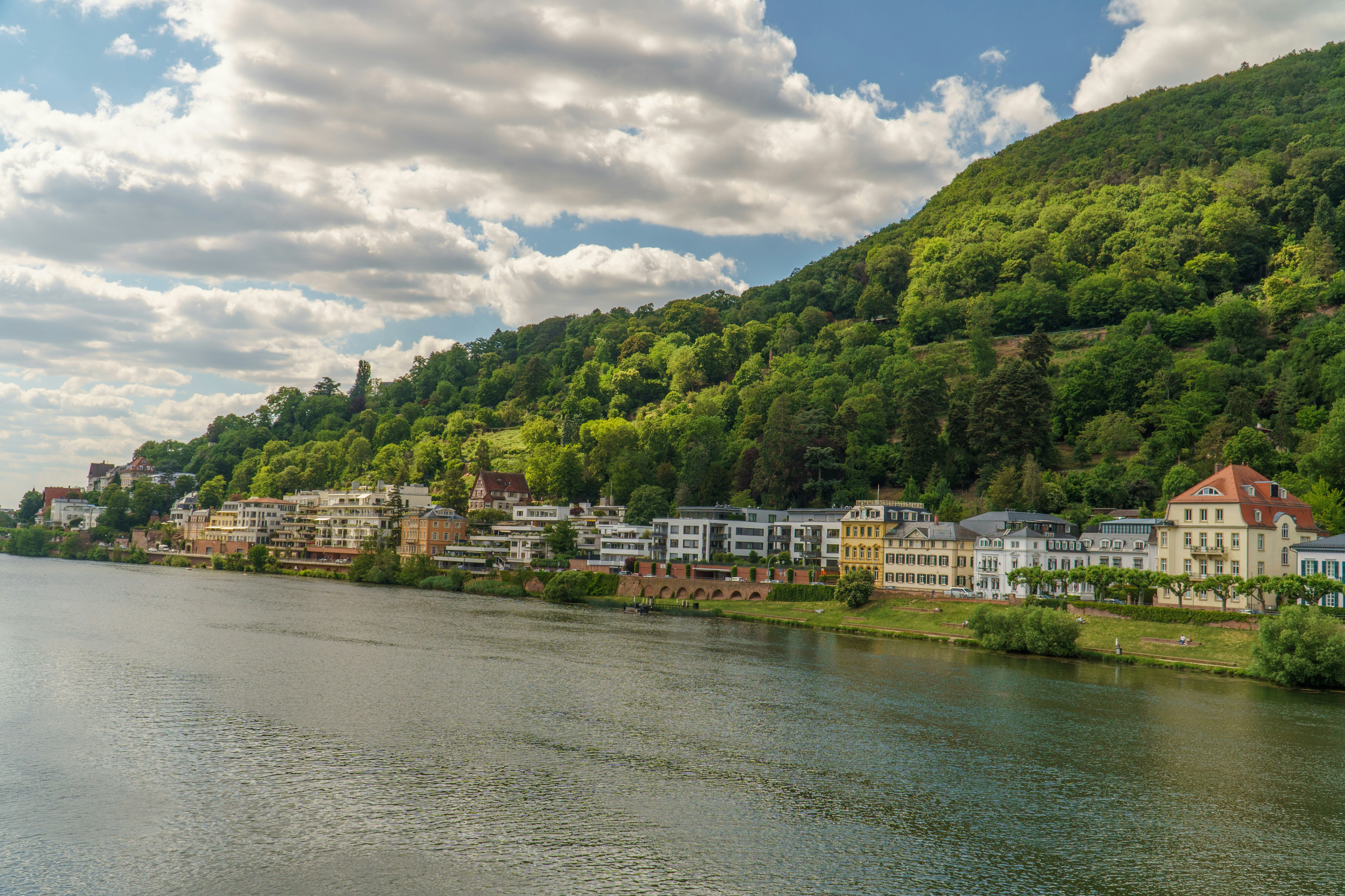 Photo by masoodaslami