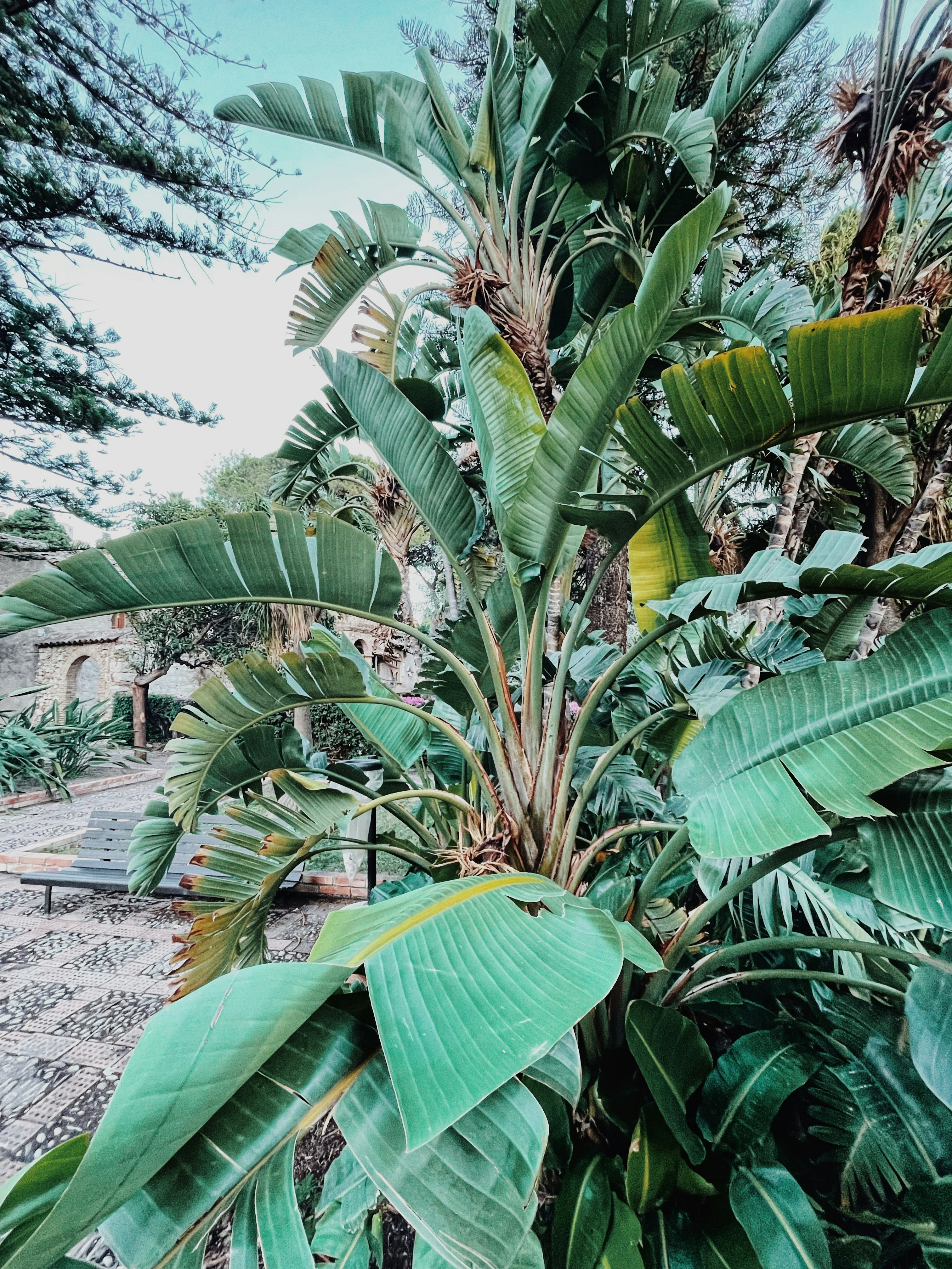 Photo by sala_amanda