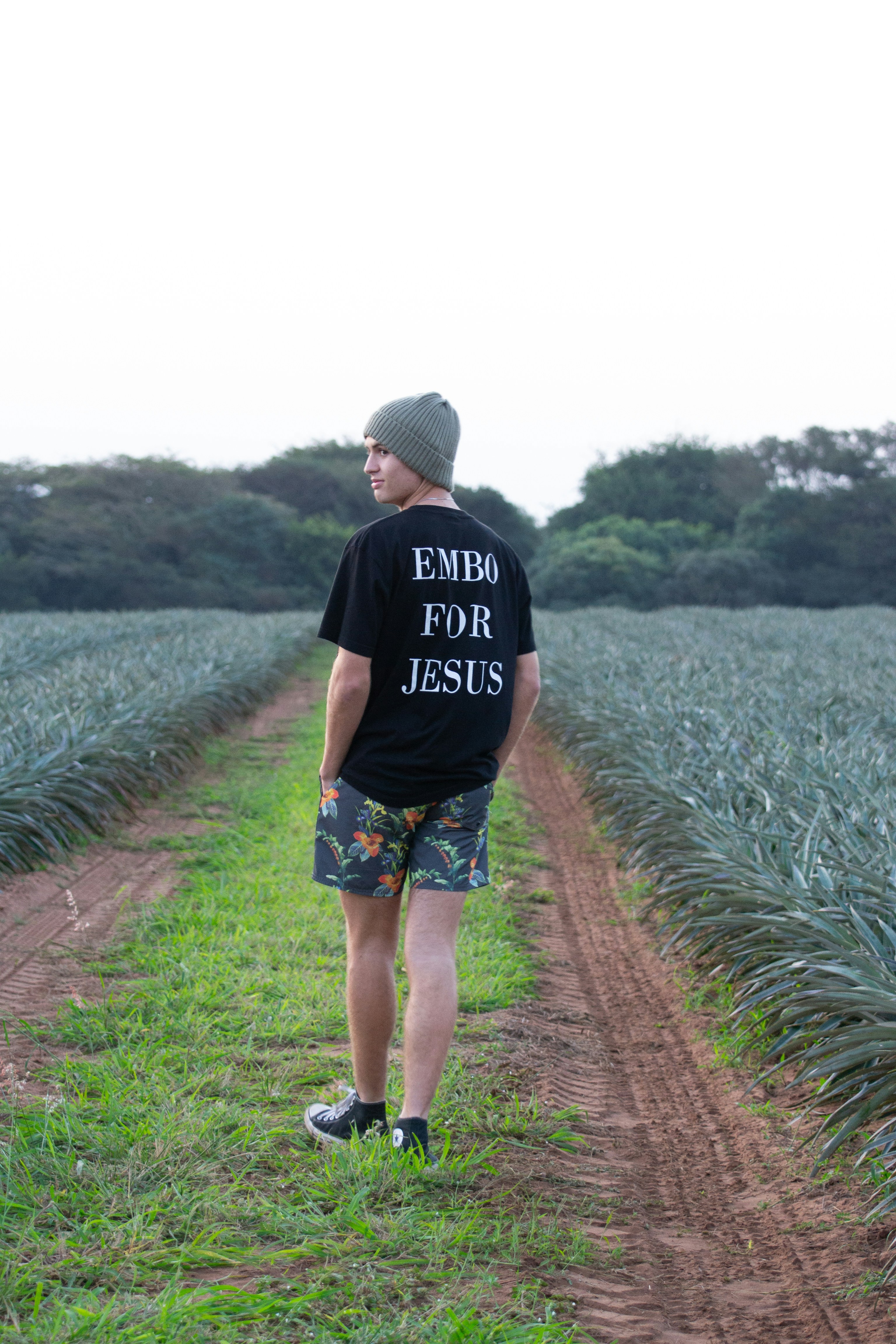 a man standing in a field of pineapples