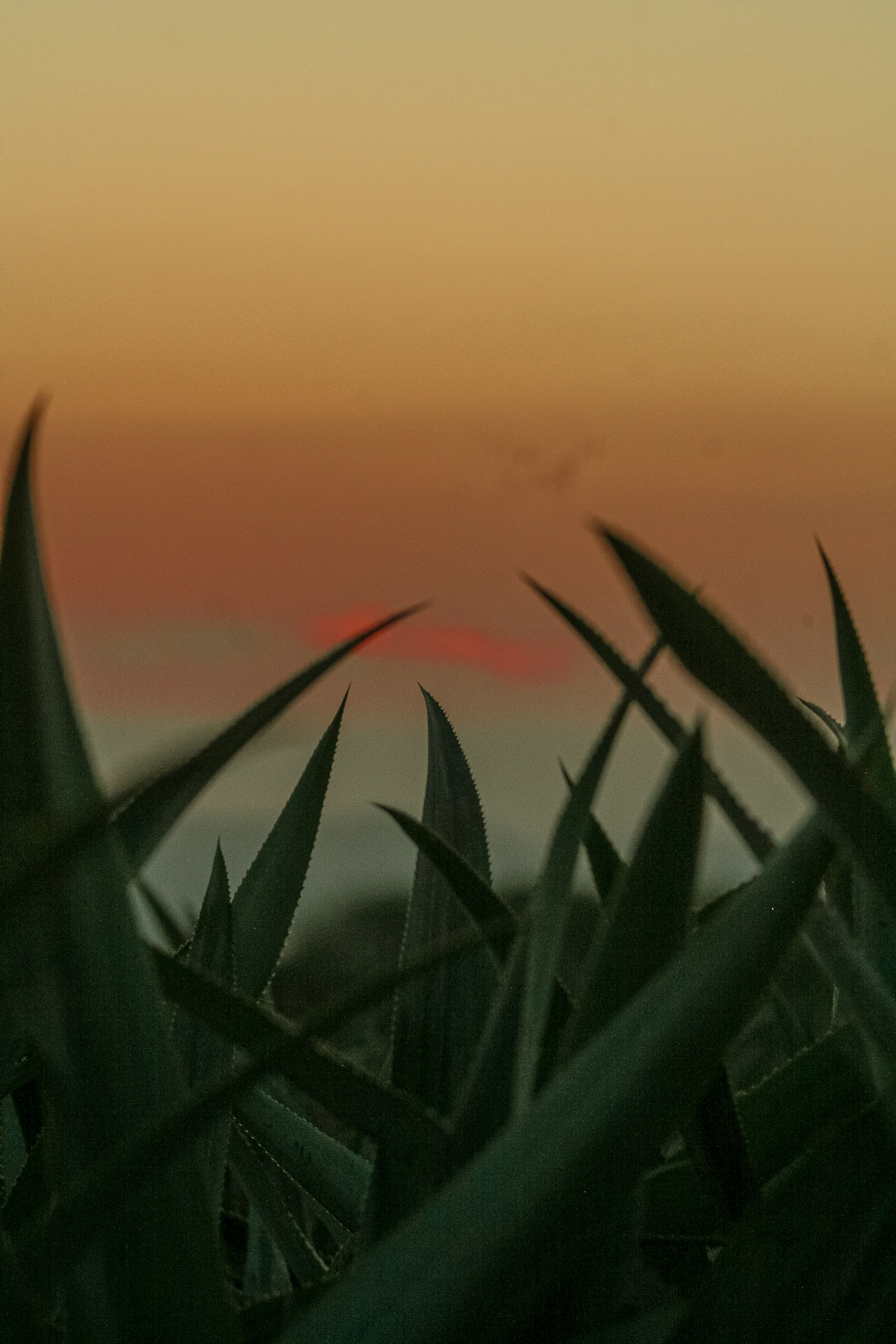 the sun is setting over the horizon of a body of water