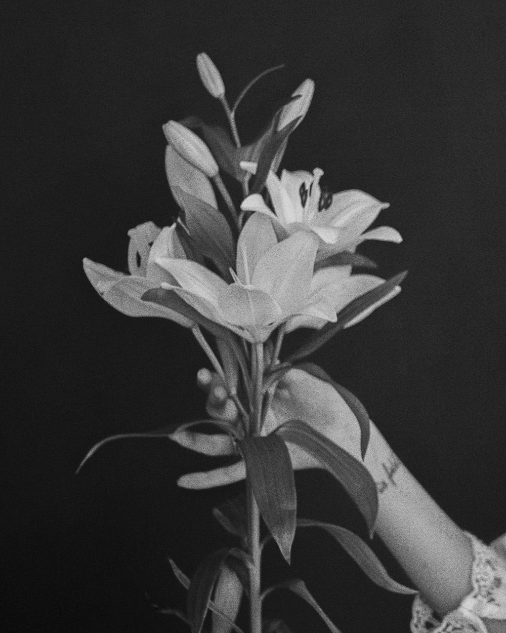 uma foto em preto e branco da mão de uma mulher segurando um buquê de flores