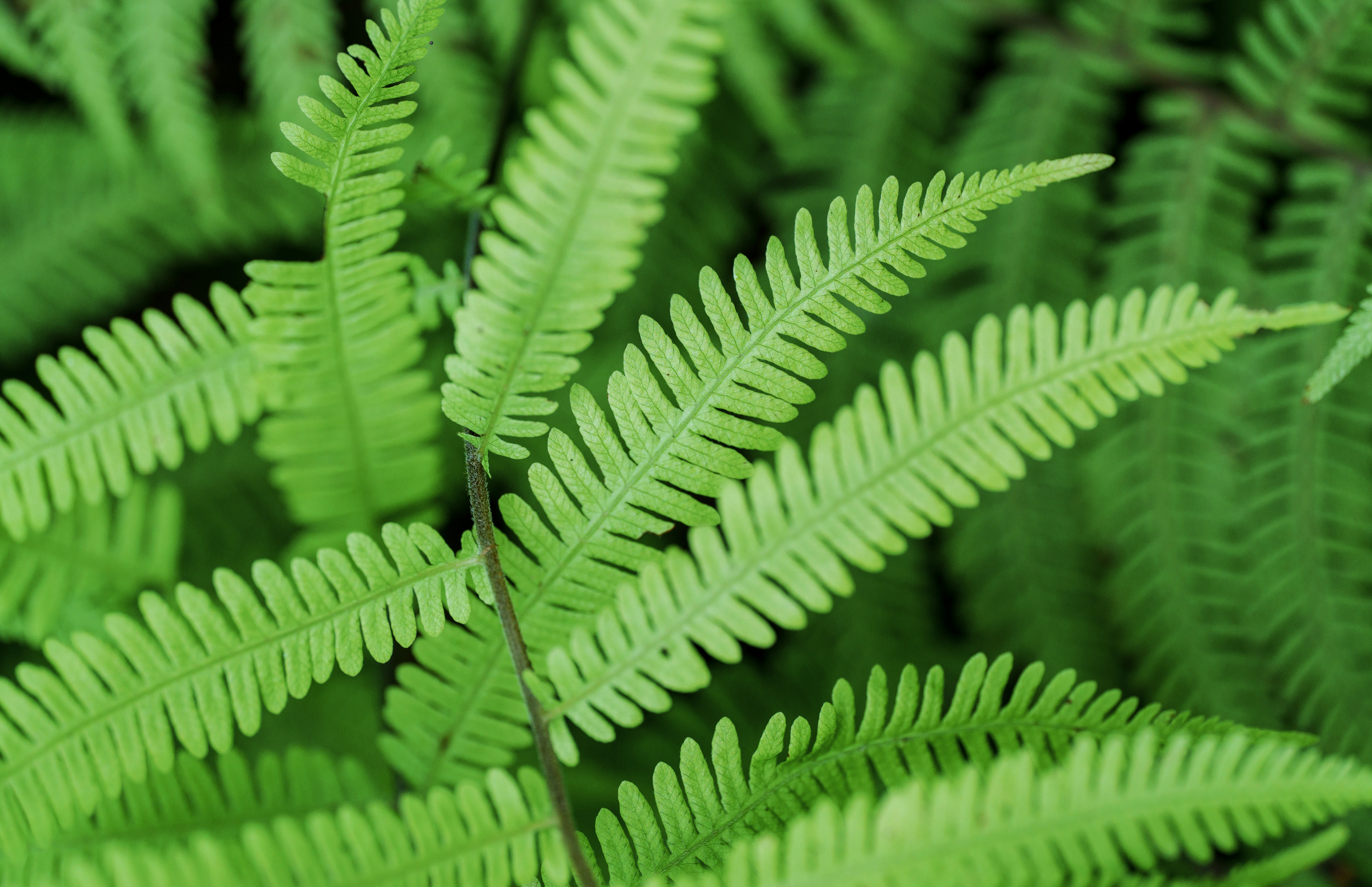 Photo by yooho962464