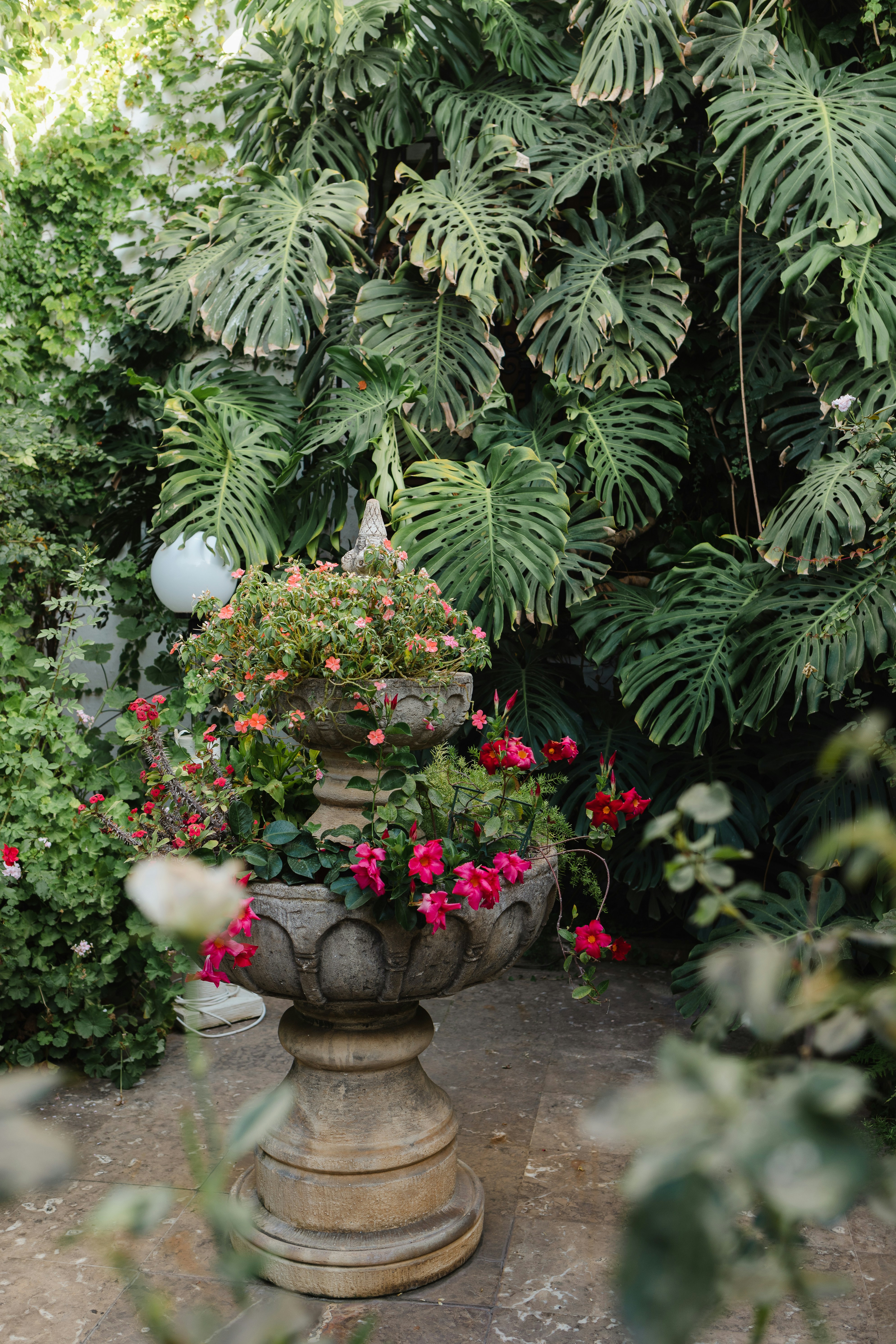 Photo by juliamatuzova