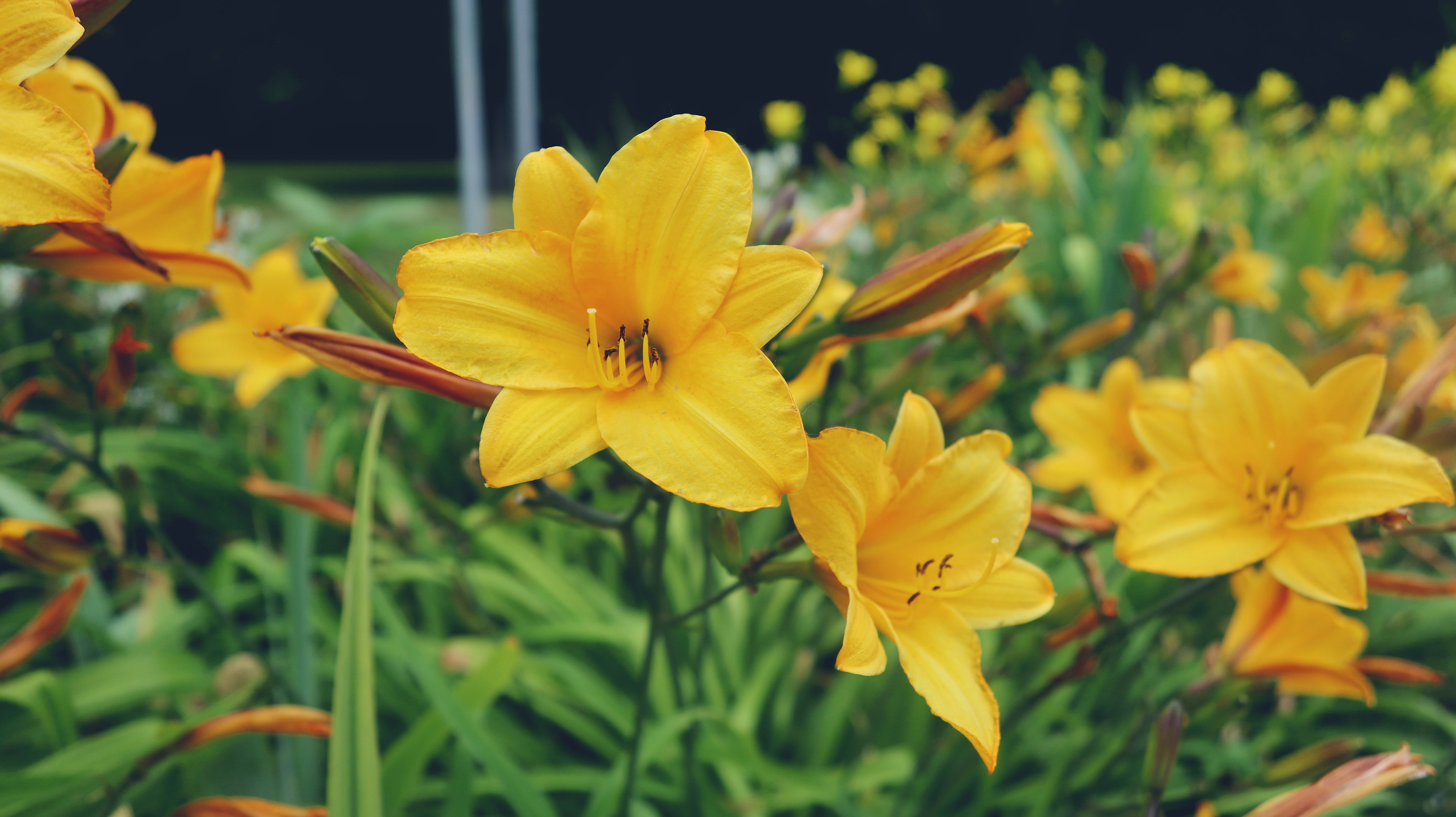 Photo by tolikrurac82