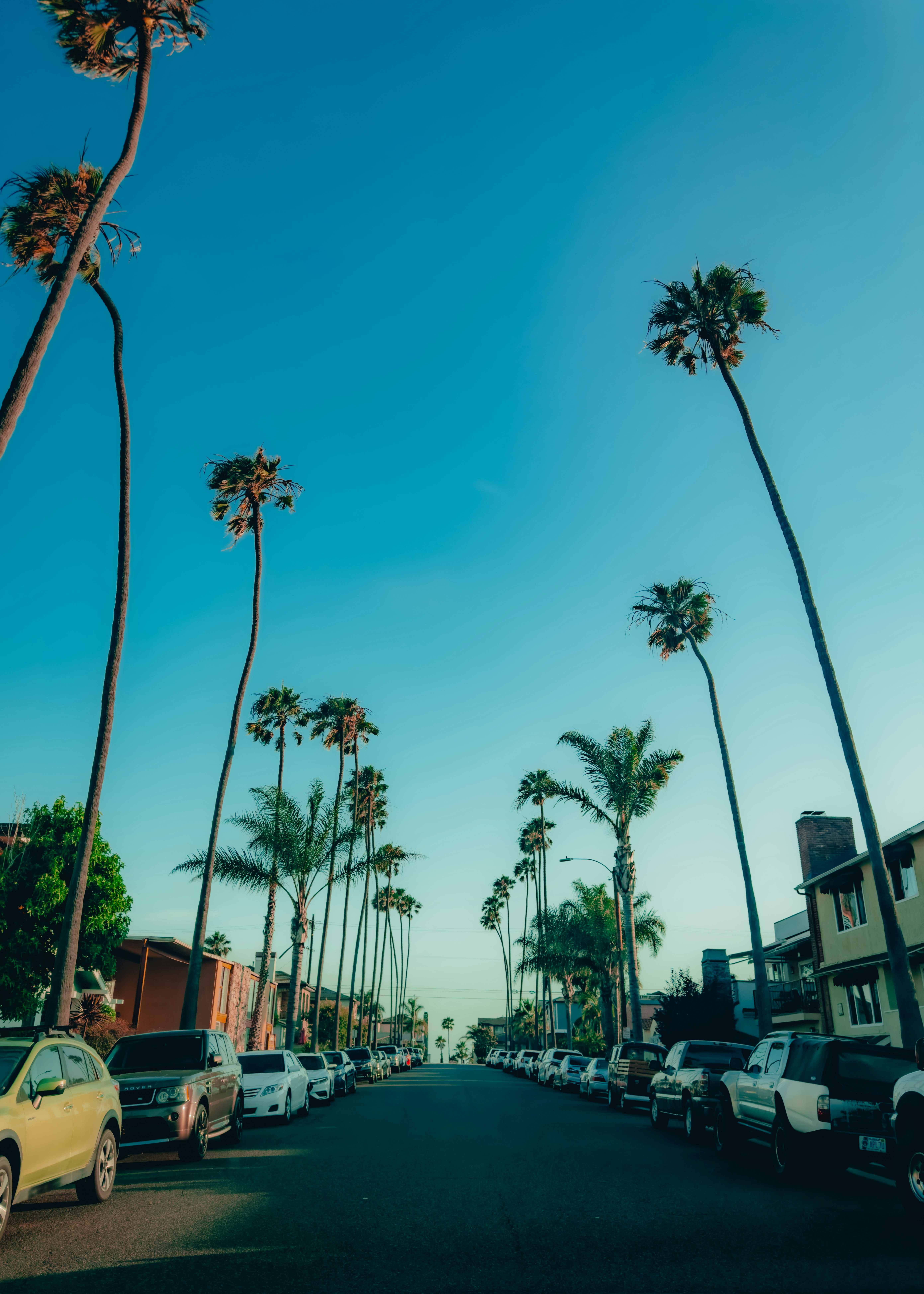 Photo by kingkonggeorge