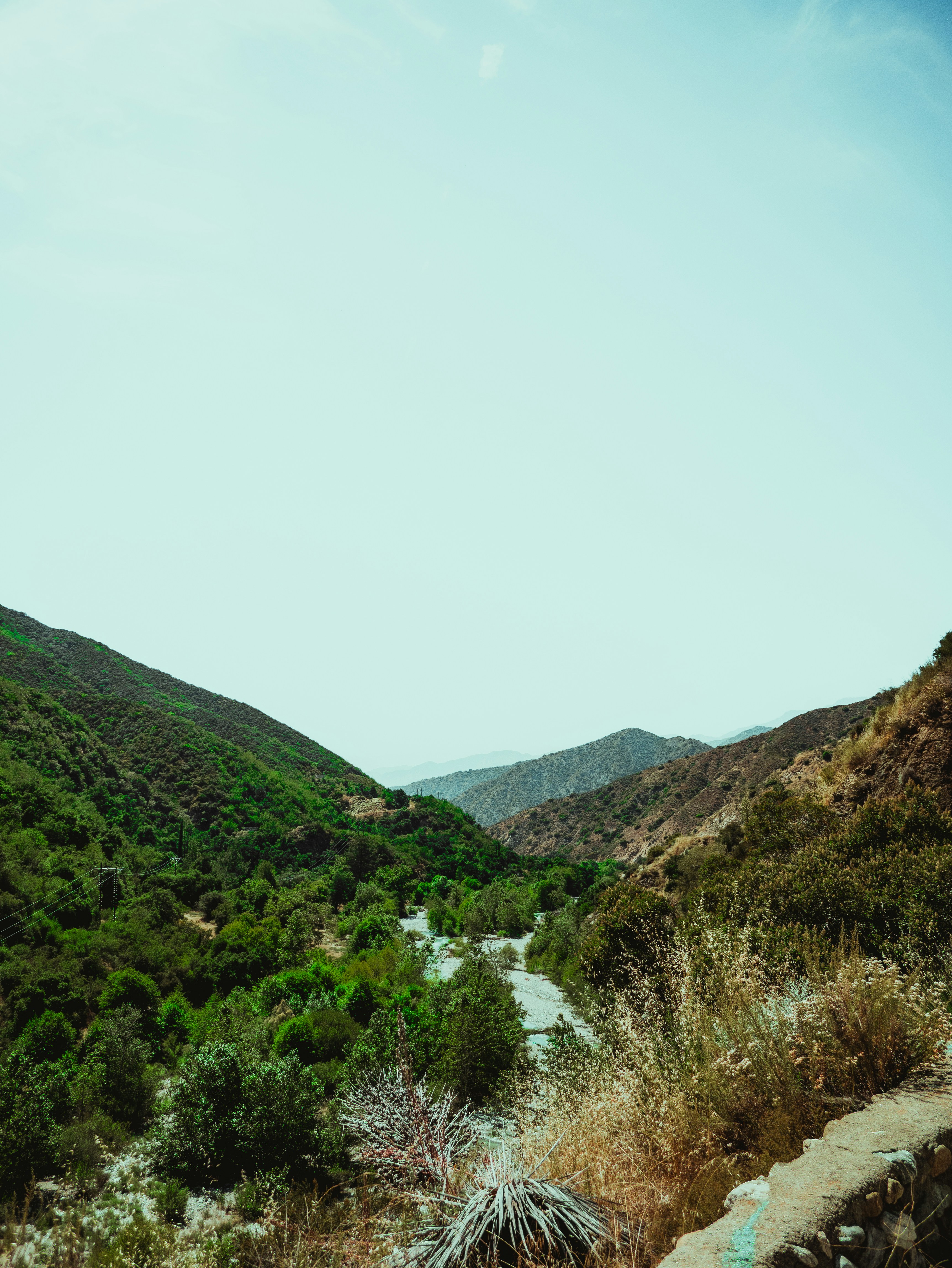 Photo by kingkonggeorge