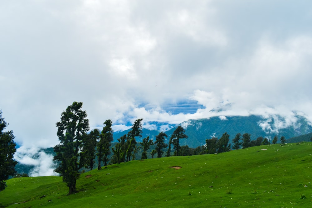 a lush green hillside covered in trees and clouds