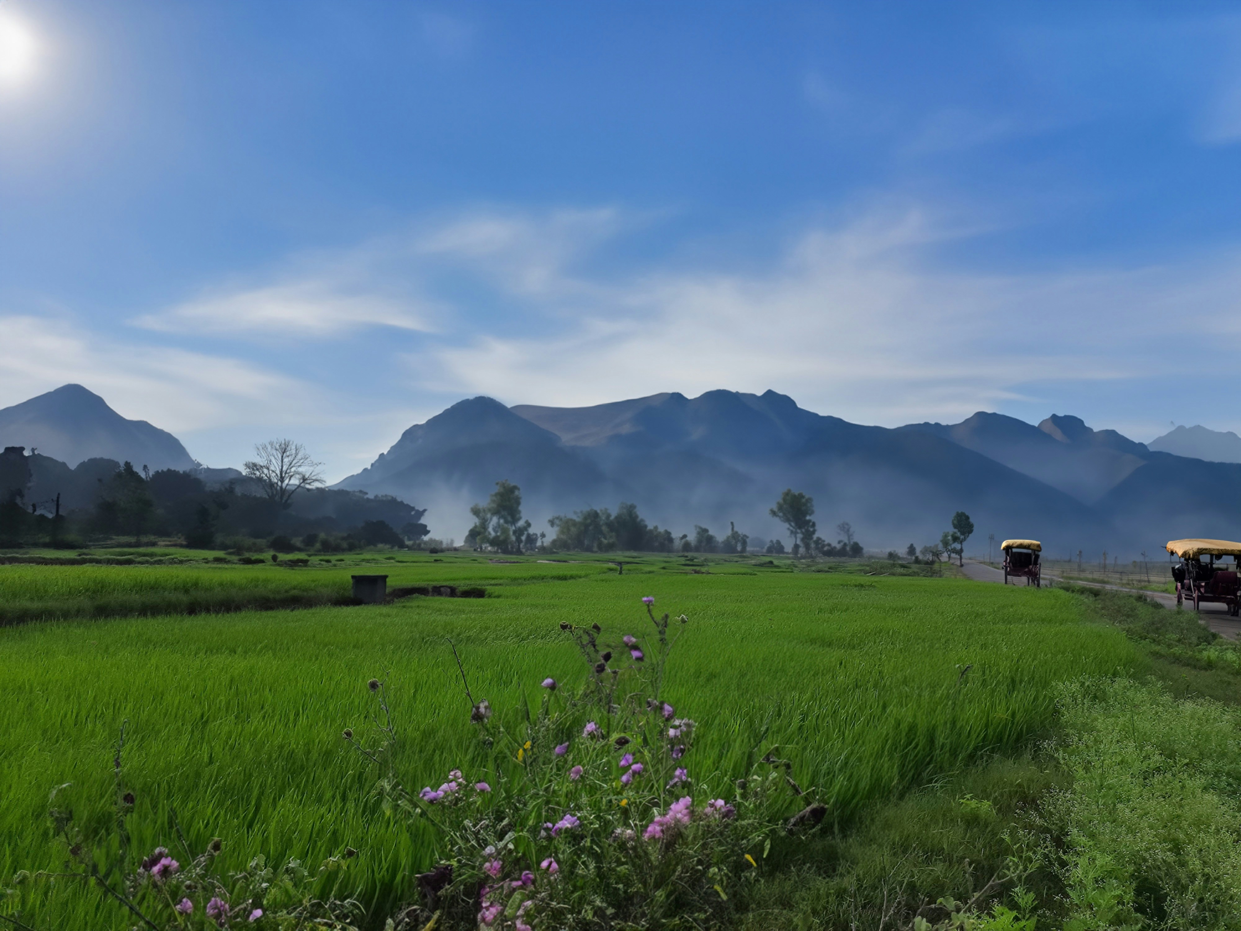 eine gruppe von leuten, die in einem karren über ein üppiges grünes feld fahren