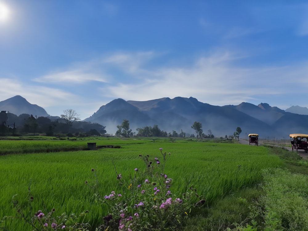 a group of people riding in a cart down a lush green field