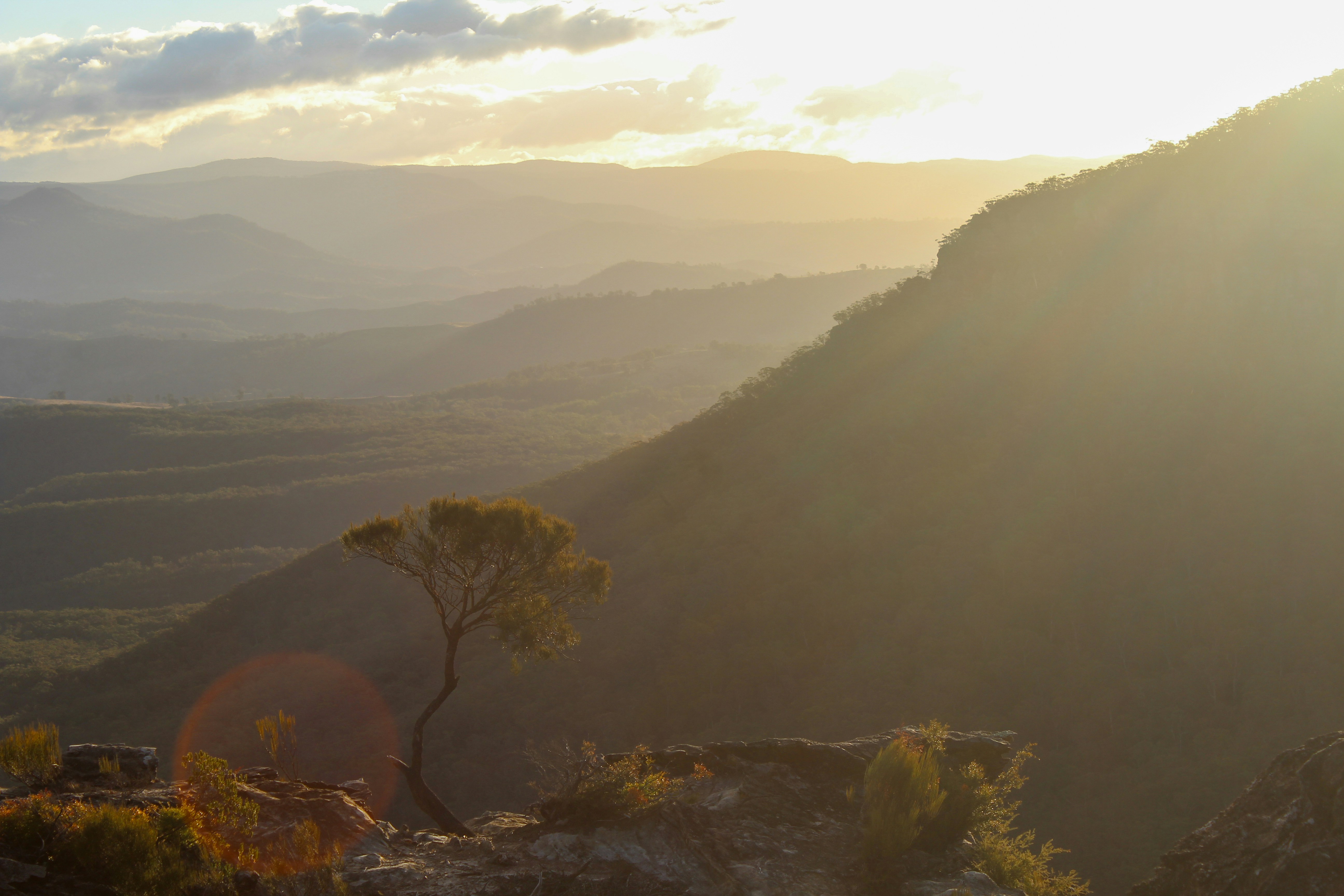 a lone tree in the middle of a mountain range