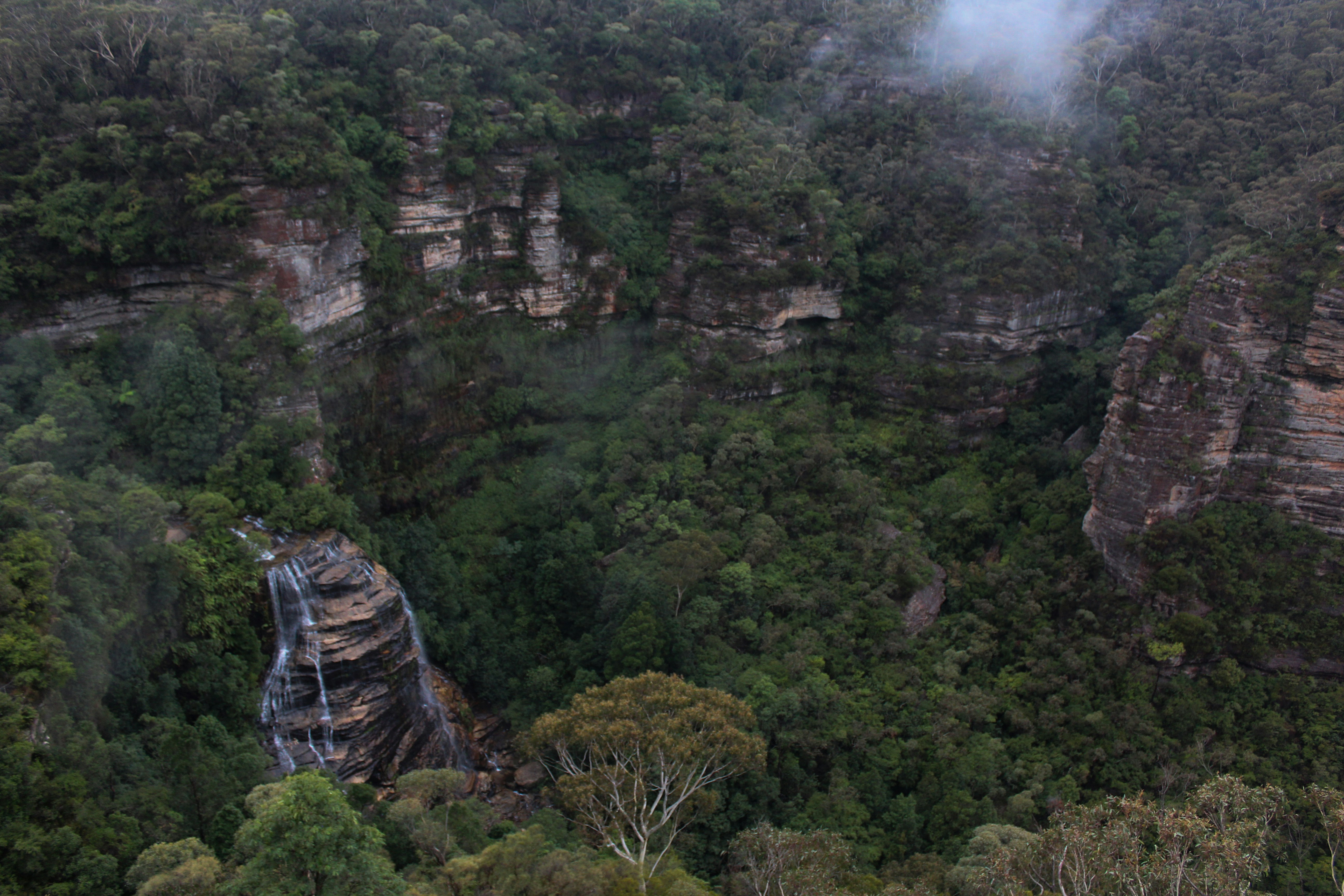 a waterfall in the middle of a lush green forest