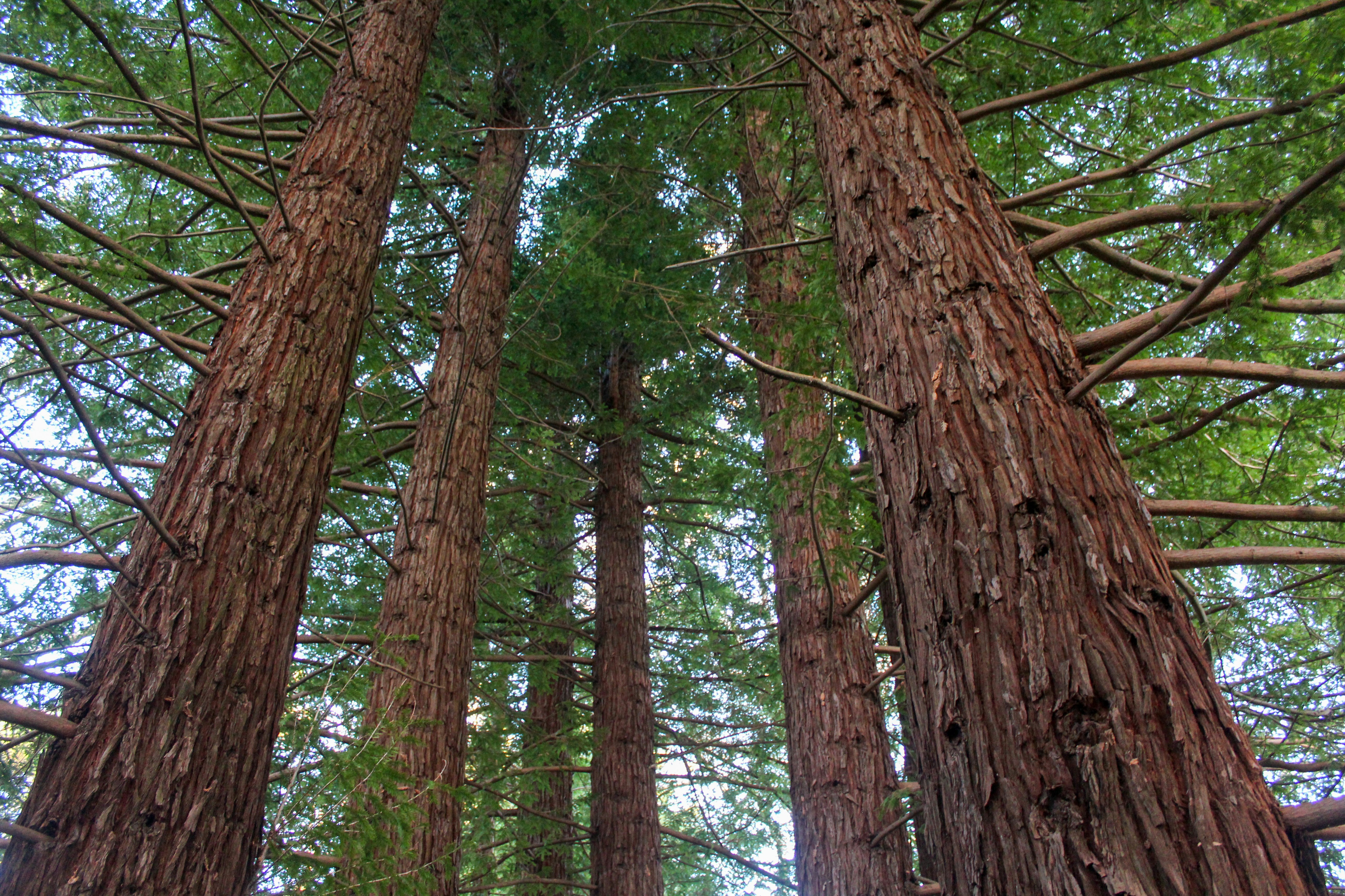 Photo by light_and_hope