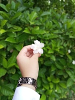 A hand wearing a metal bracelet holds a small, white flower against a background of lush green leaves.