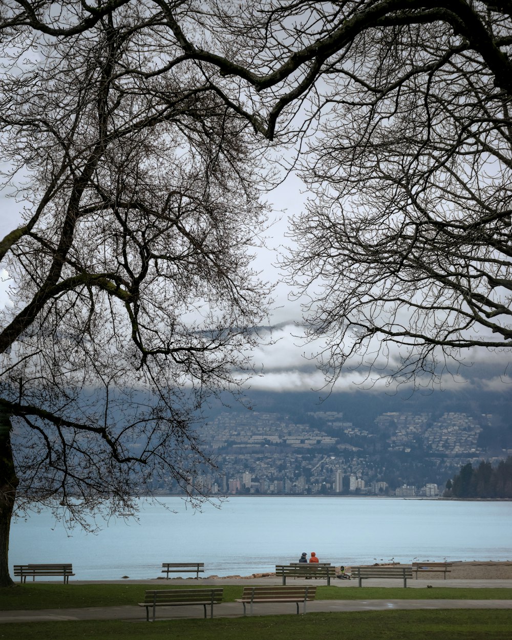 a couple sitting on a bench under a tree