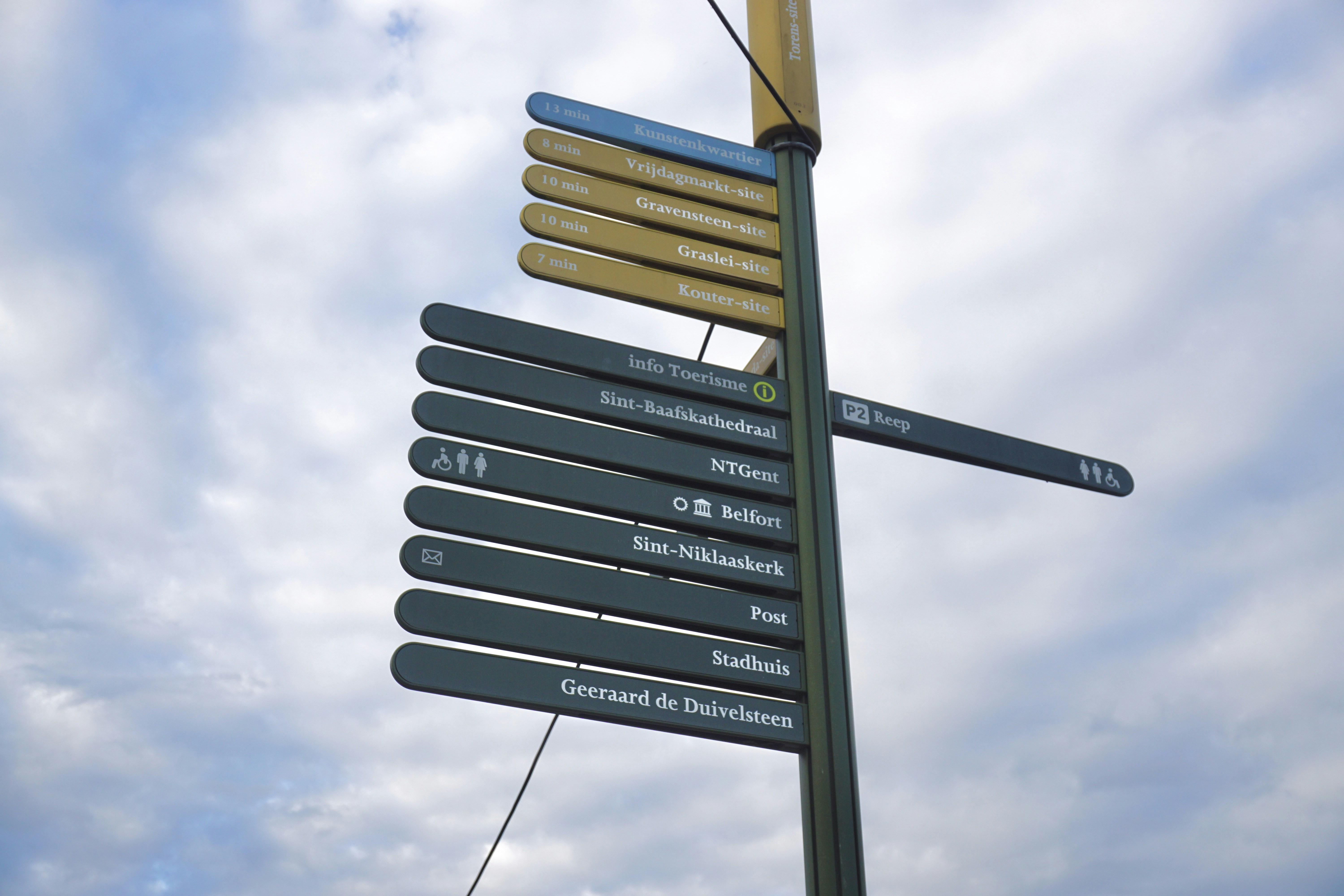 a clear, simple roadmap with signposts for "Symptoms," "Diagnosis," and "Treatment" - pans diagnosis and treatment