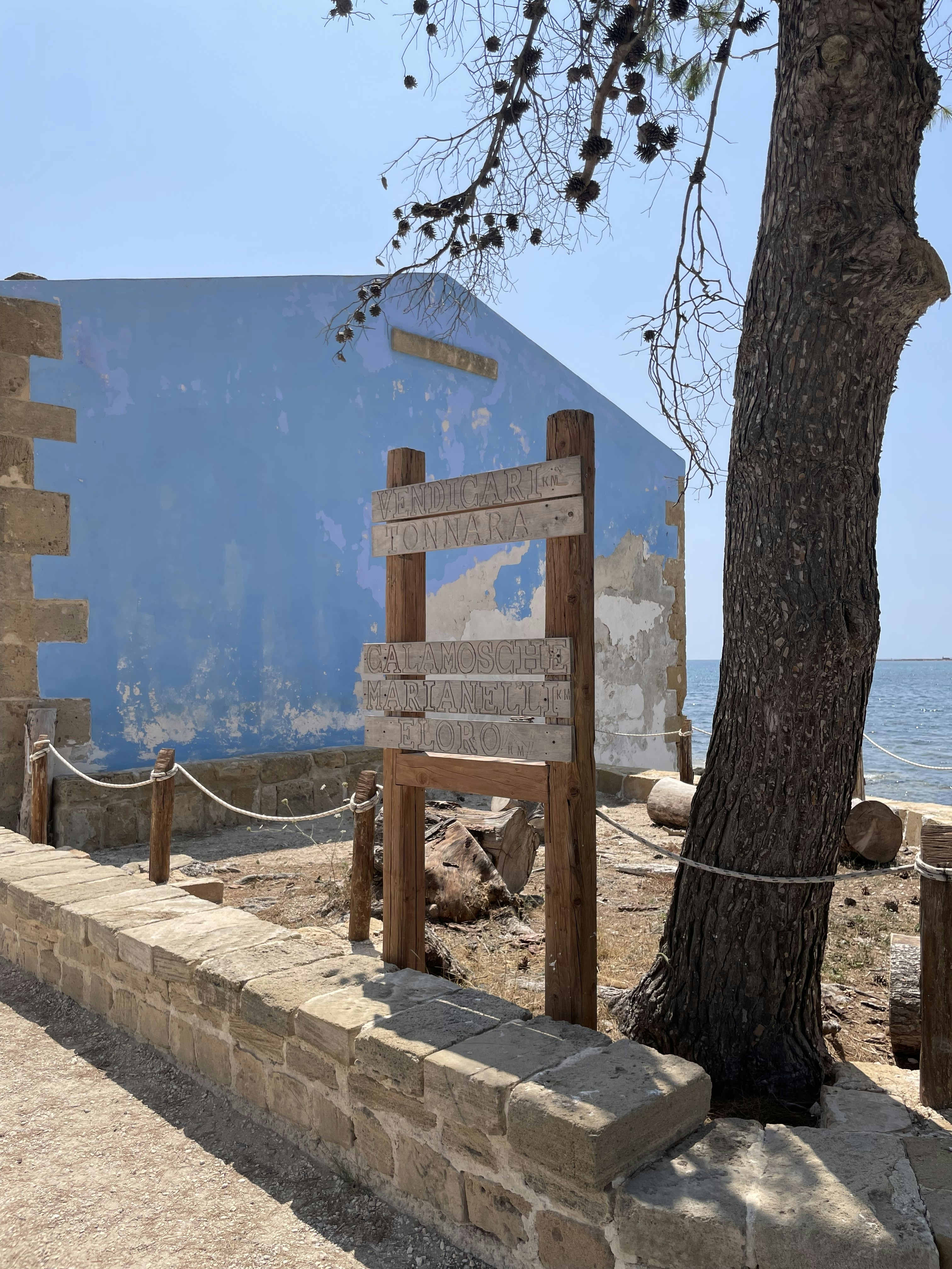un banc en bois assis à côté d’un arbre