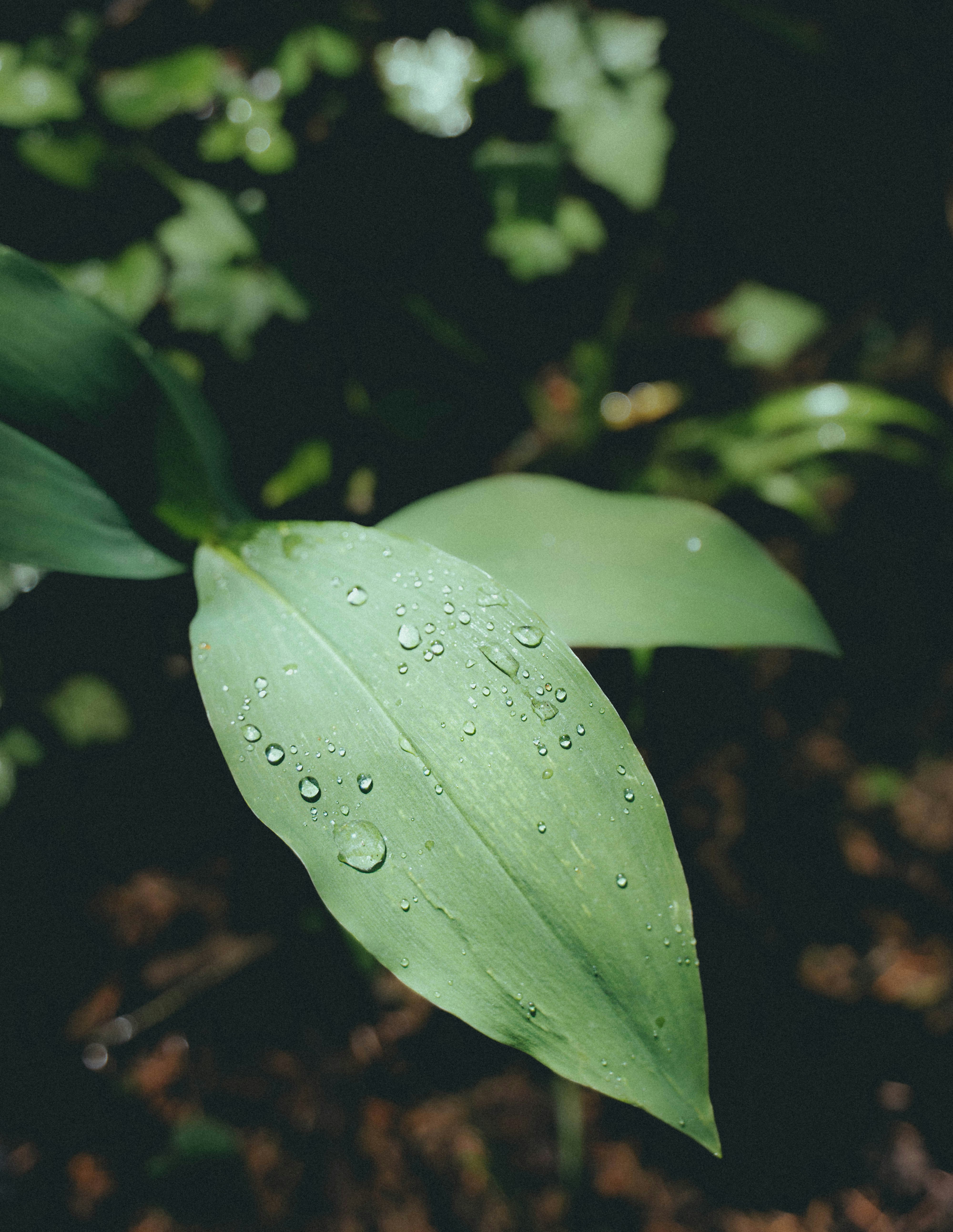 Photo by abalashevsky