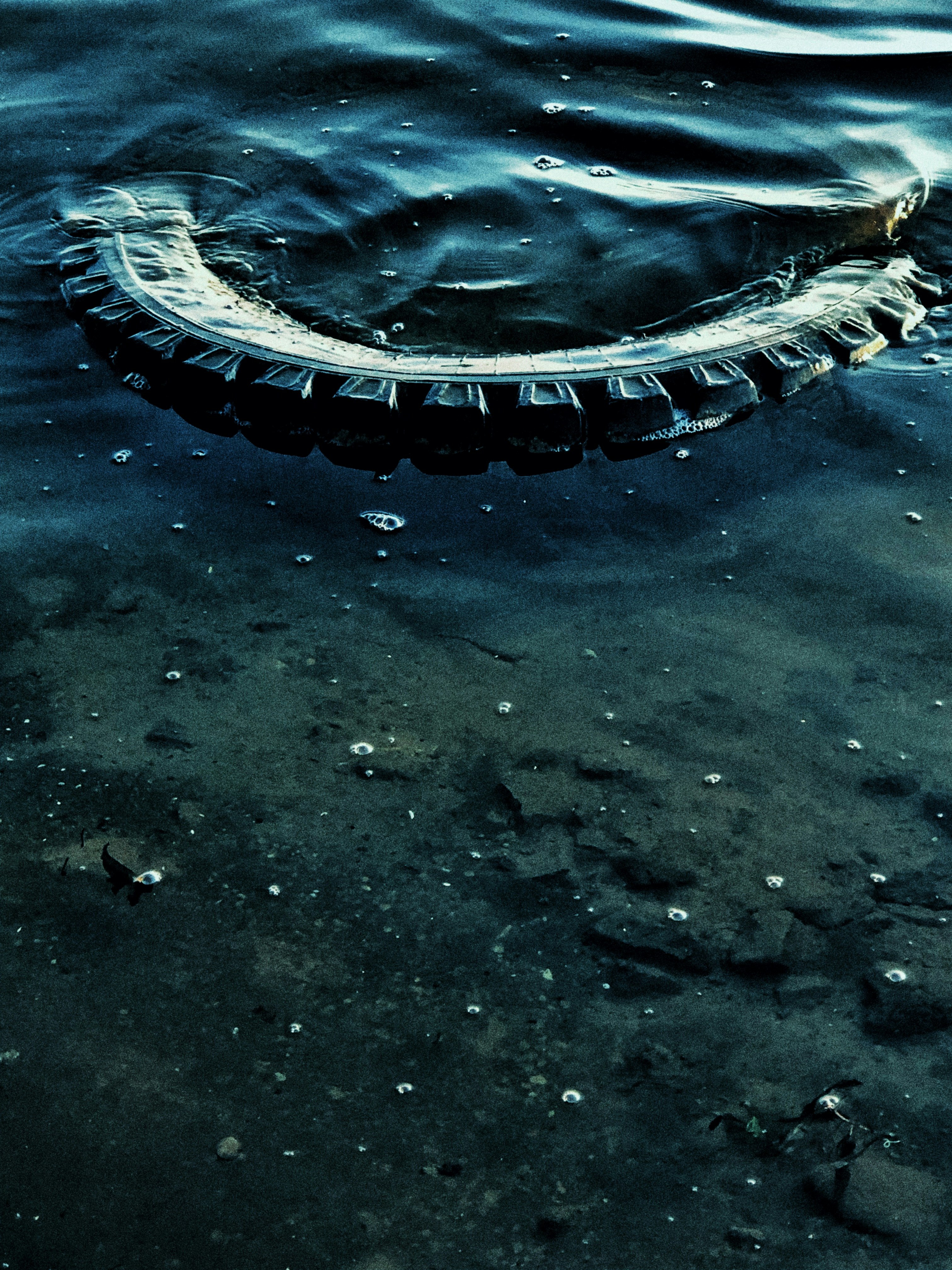 a tire floating in a body of water