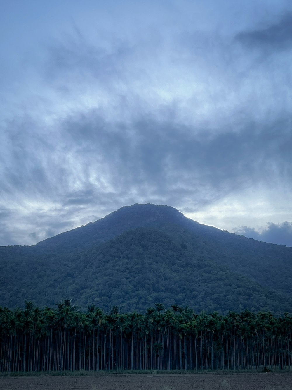 a large mountain with trees in front of it