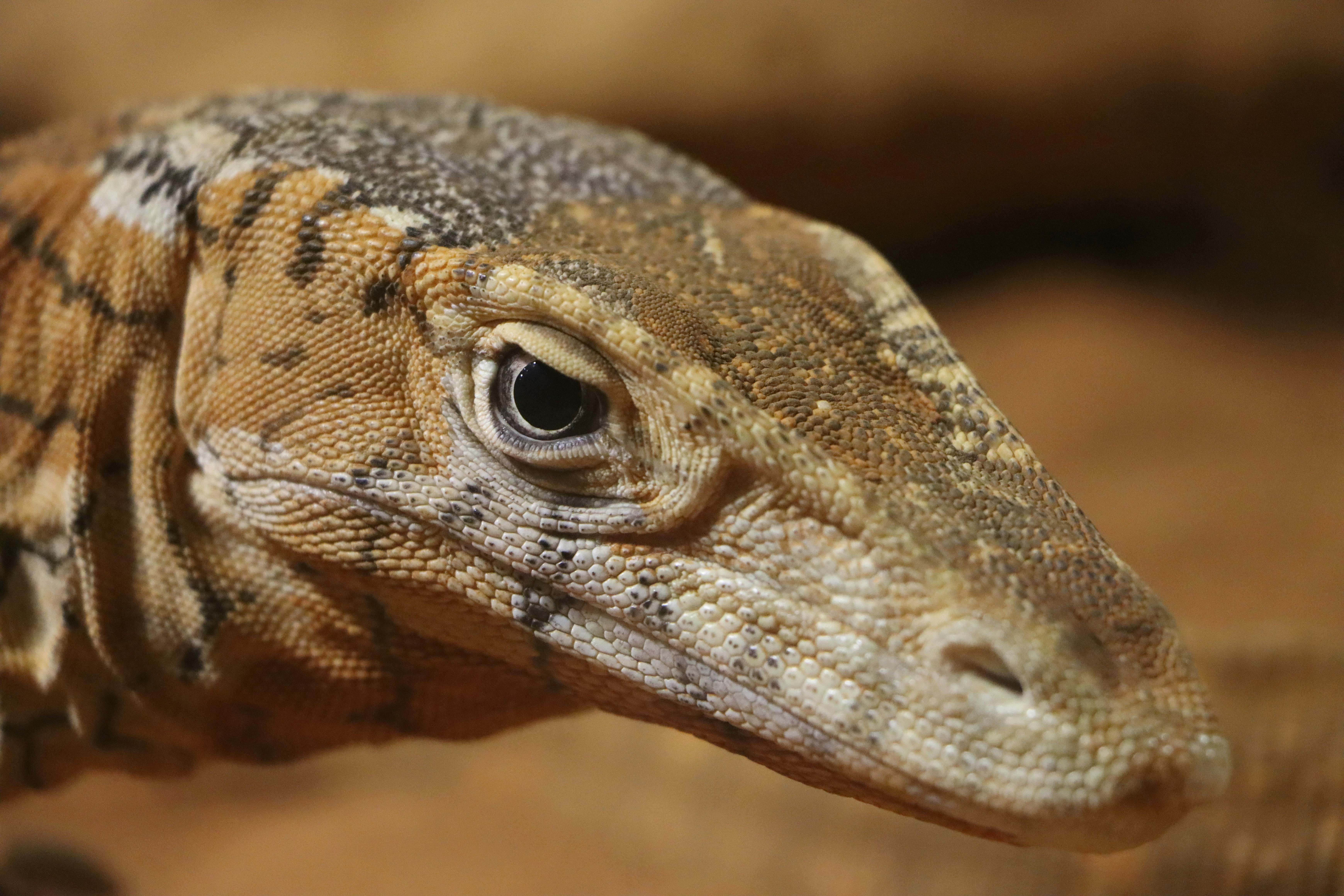 Photo by shotsby_nadira