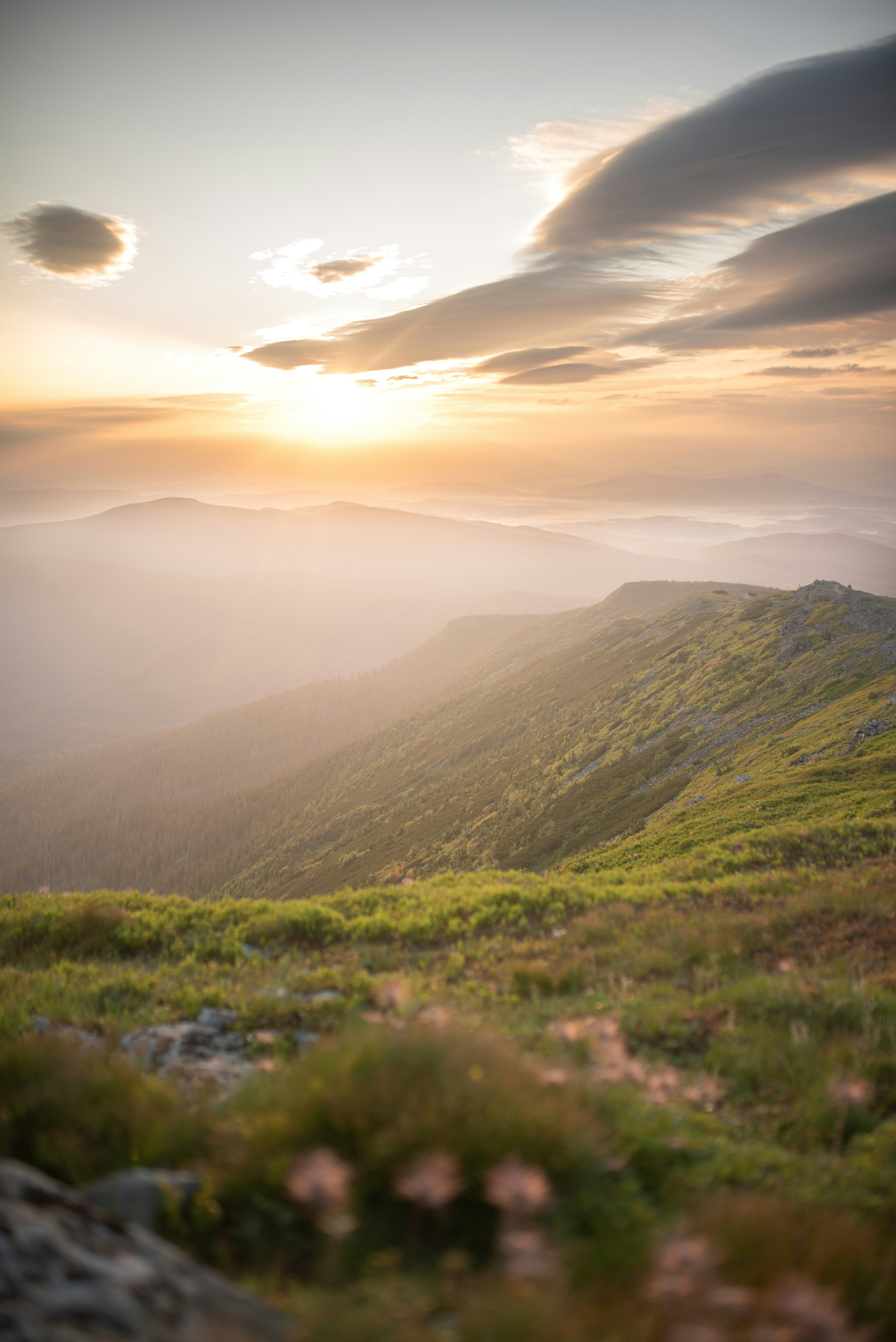 Photo by monik_guzik