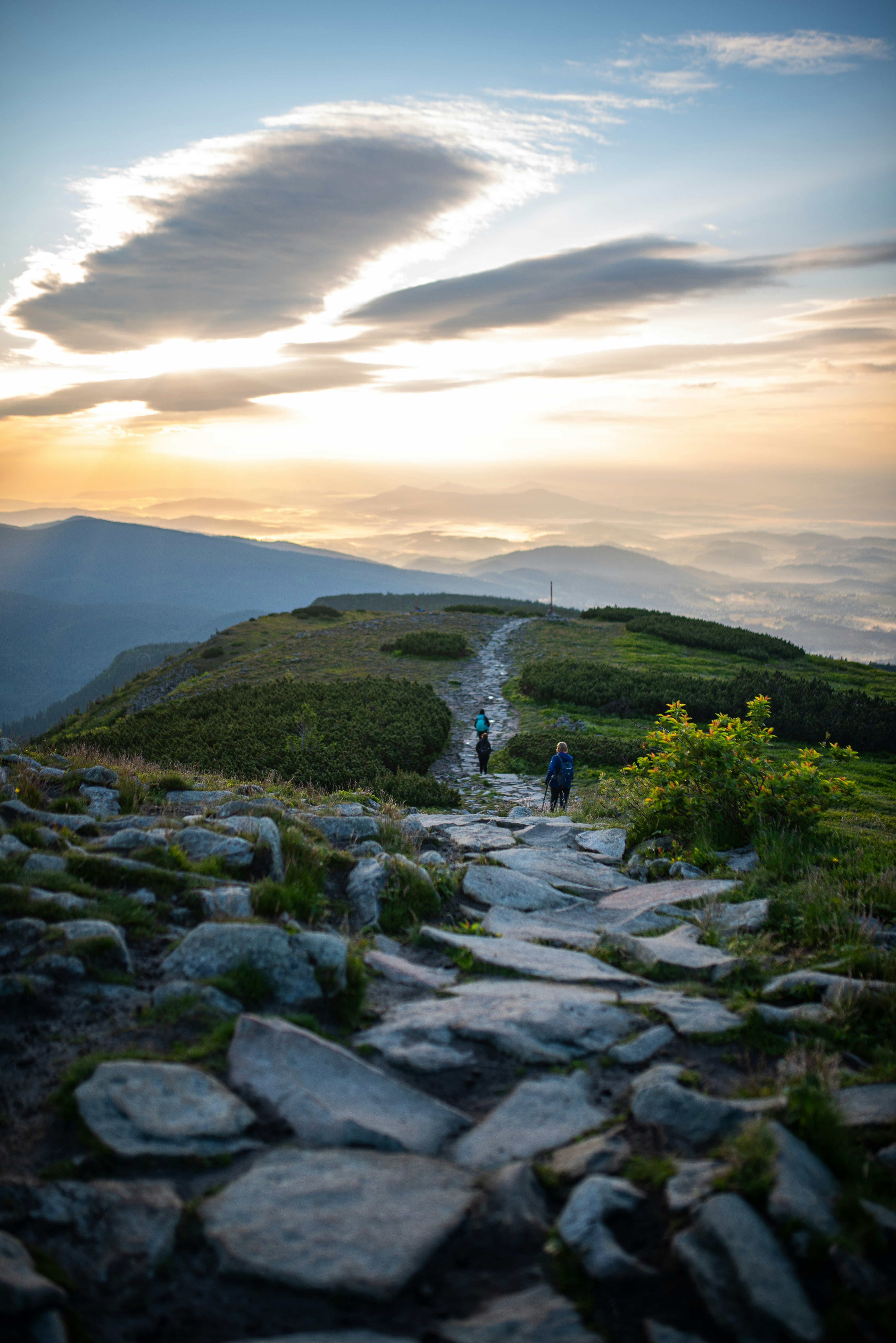 Photo by monik_guzik