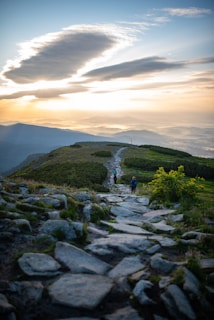 a couple of people that are walking down a path