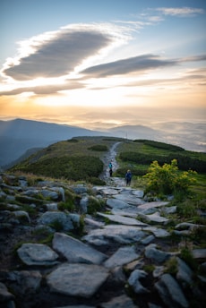 a couple of people that are walking down a path