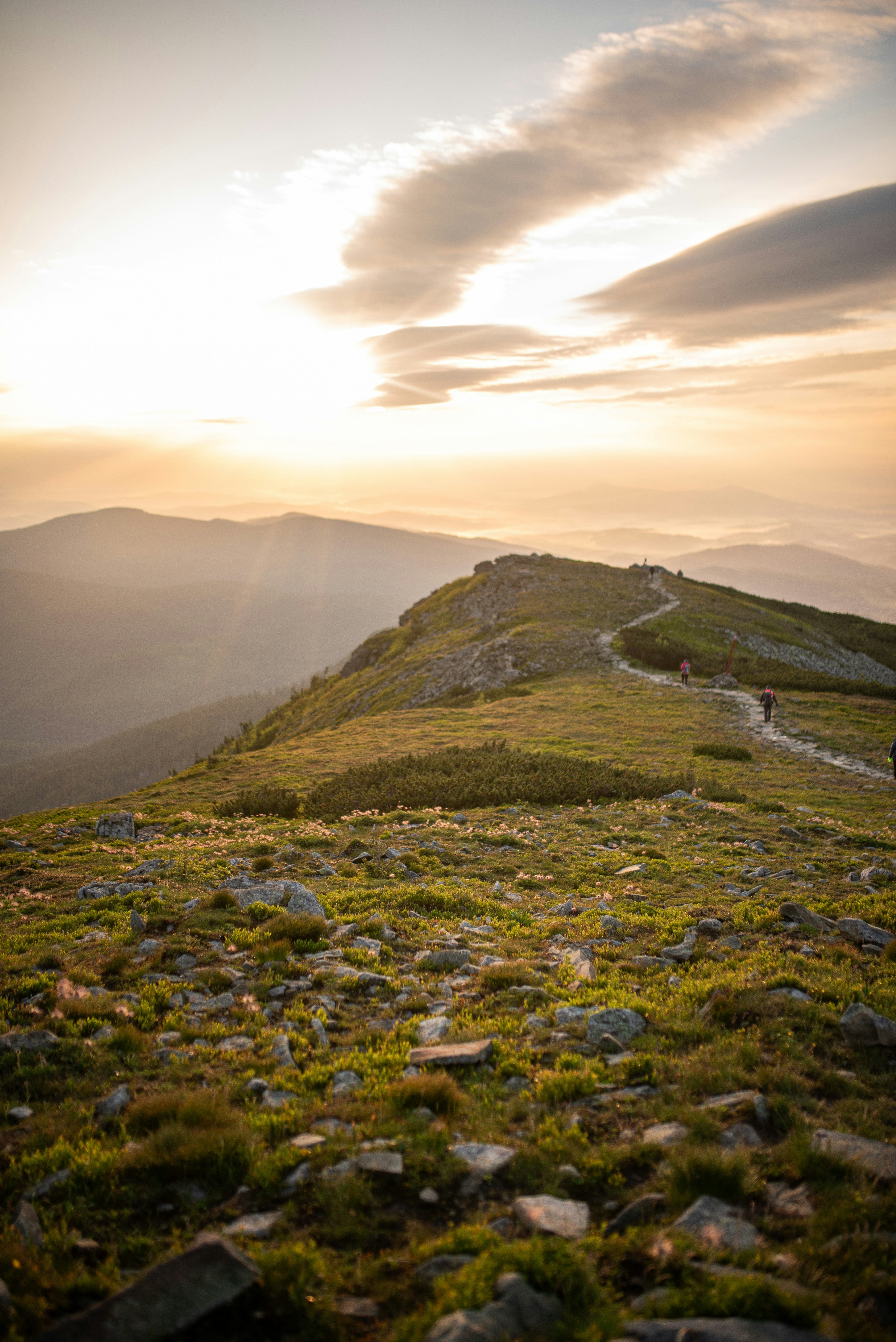 Photo by monik_guzik