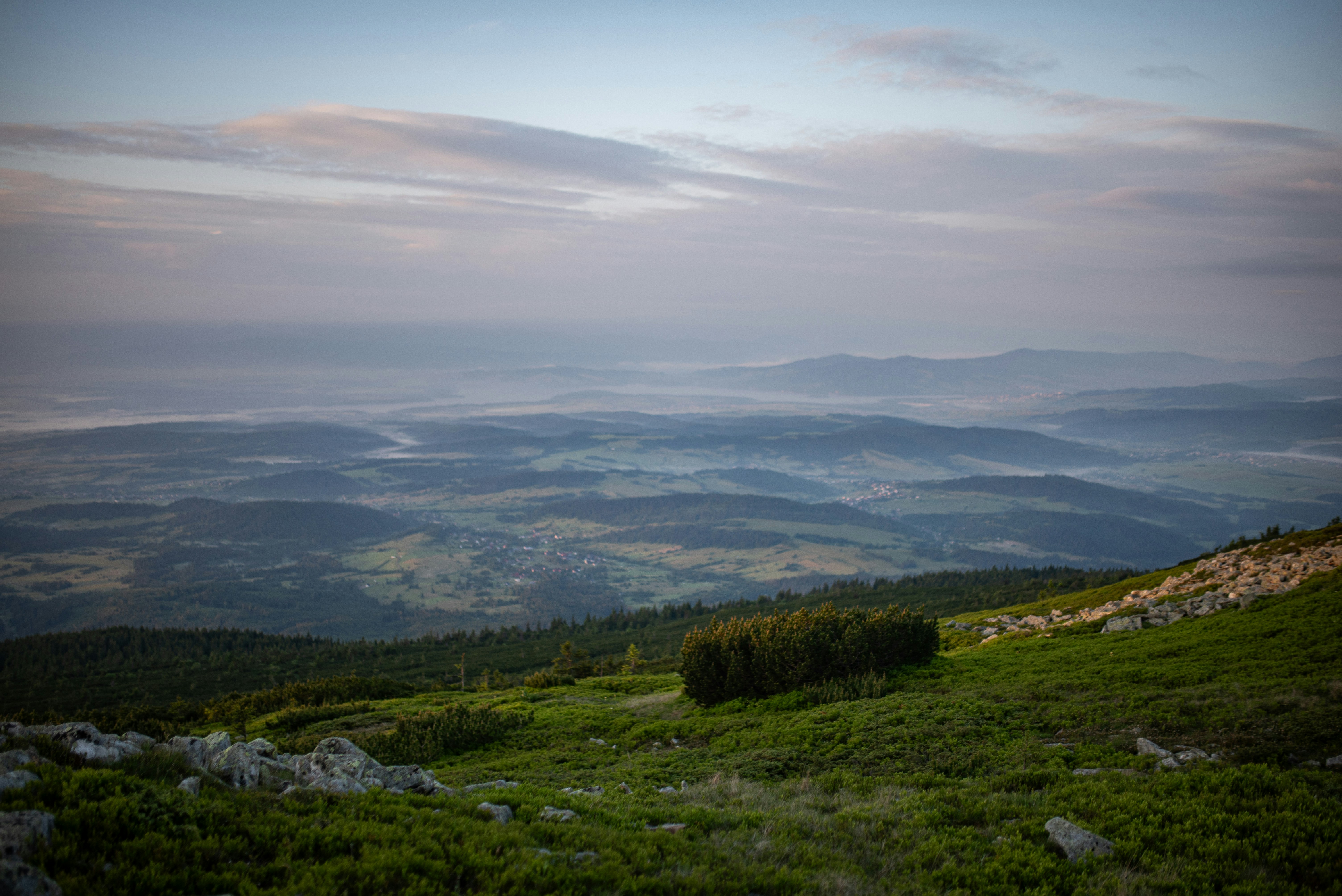 Photo by monik_guzik