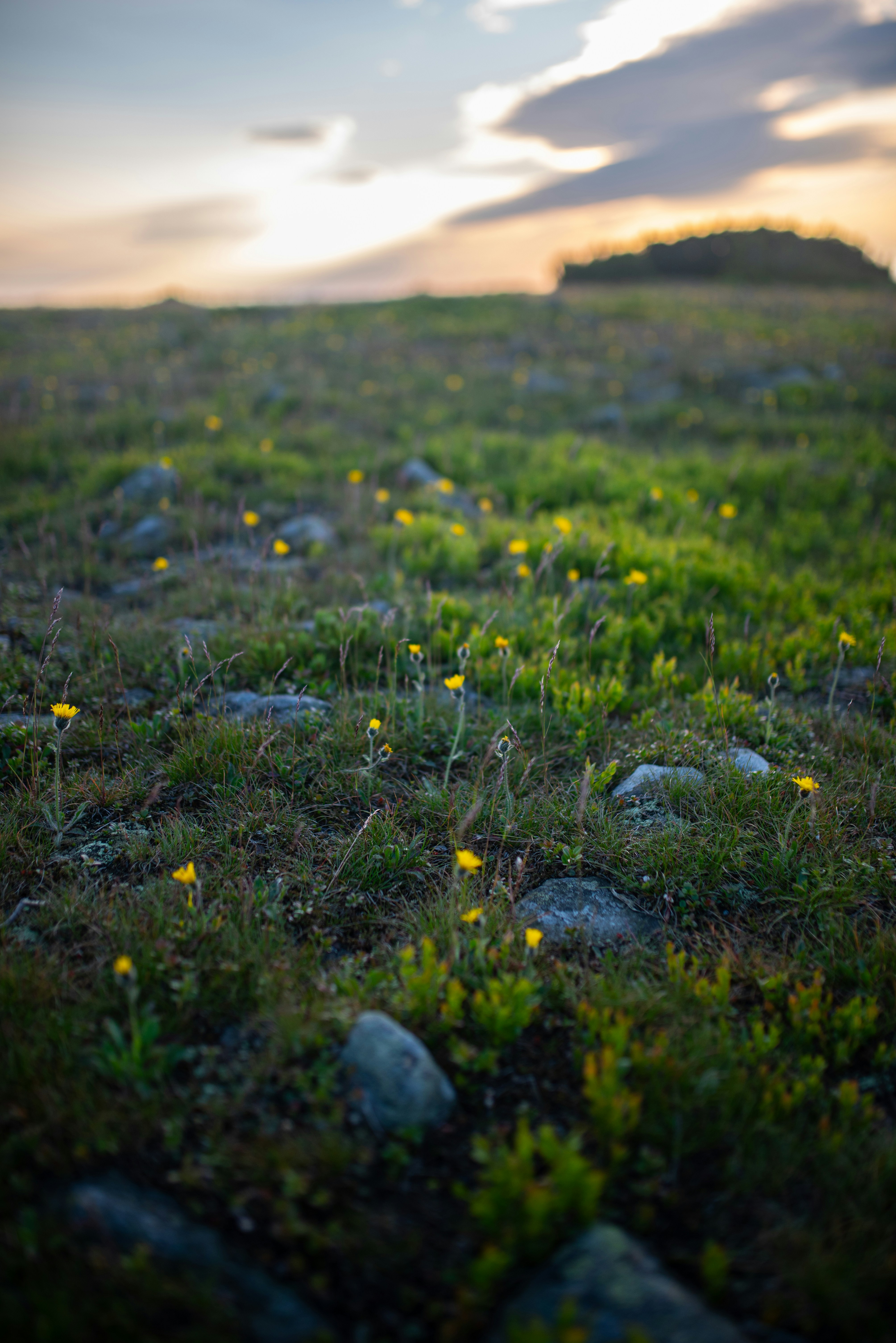 Photo by monik_guzik