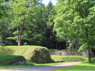 A serene park landscape features lush green trees and well-maintained grass areas. A stone wall runs through the scene, partially covered by grass. A solitary street lamp is positioned near a pathway, adding a rustic charm to the natural environment.