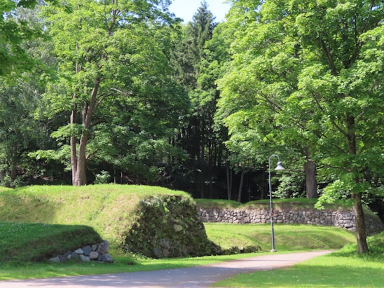 A serene park landscape features lush green trees and well-maintained grass areas. A stone wall runs through the scene, partially covered by grass. A solitary street lamp is positioned near a pathway, adding a rustic charm to the natural environment.