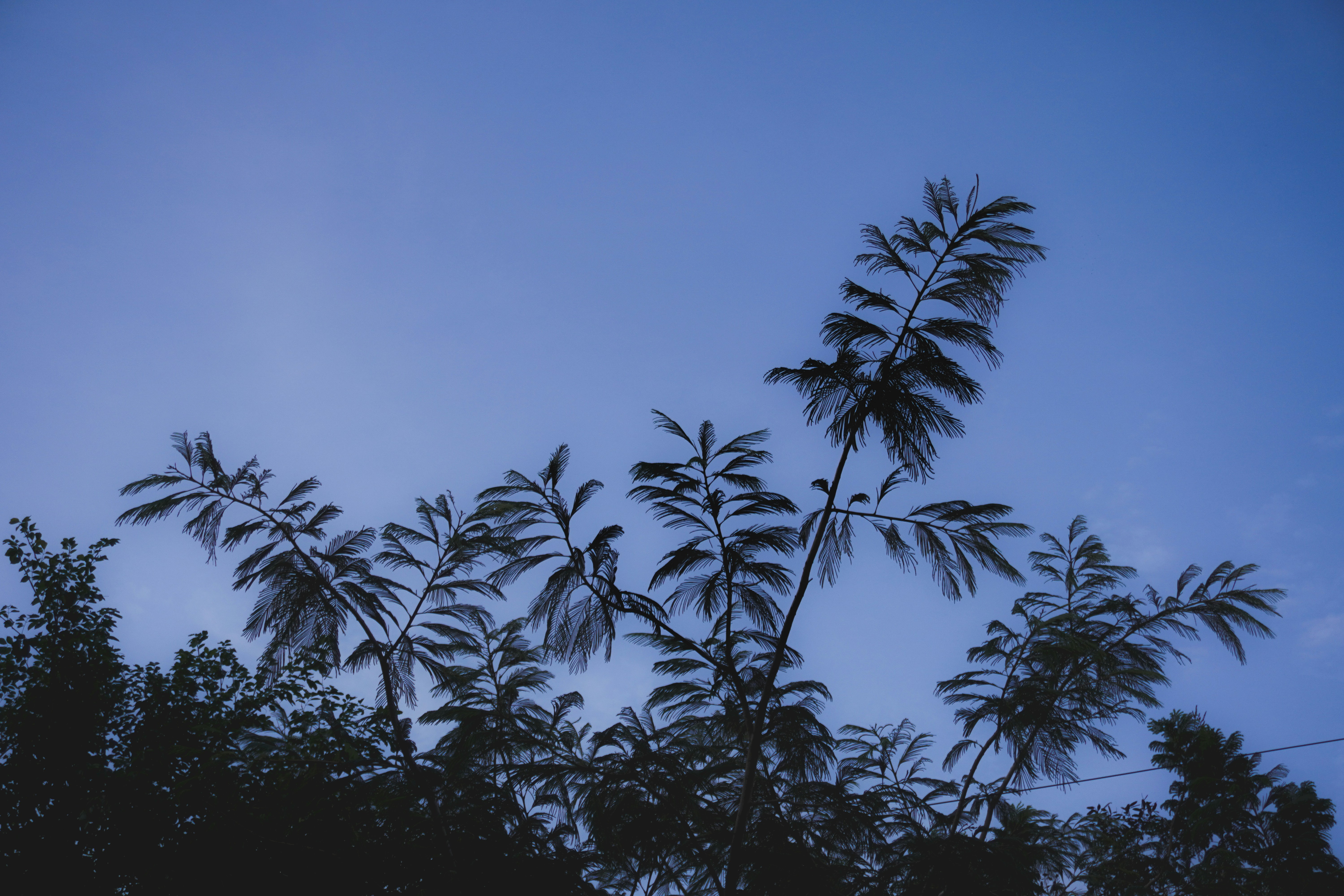 Photo by acolourfulnoise