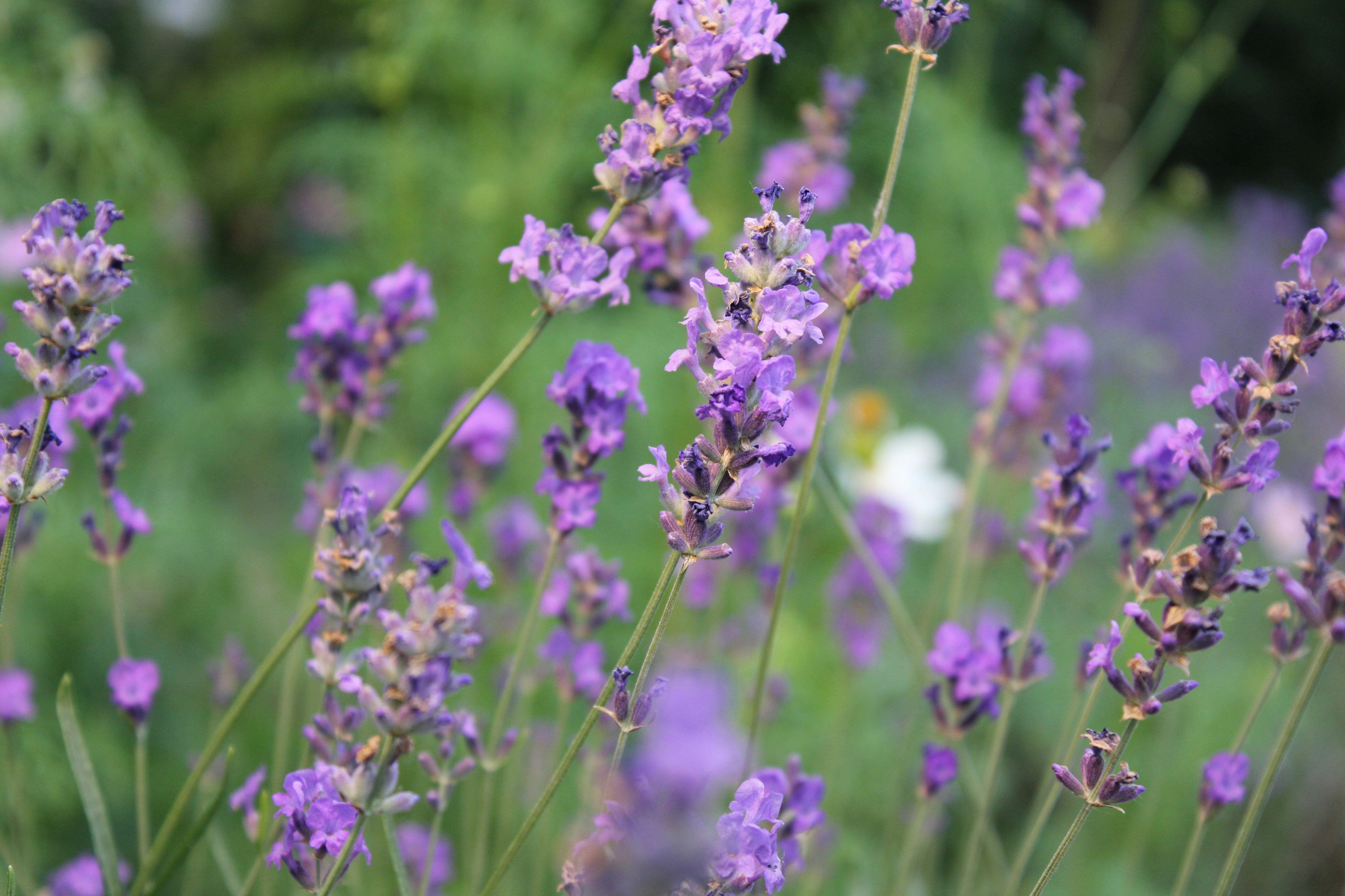 Photo by dareartworks