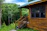 A wooden cabin with a green roof is situated in a lush forest setting. The cabin has large dark-framed windows and a small set of steps leading to a porch. Surrounding the cabin are dense green trees and a well-maintained grassy area under a partly cloudy sky.
