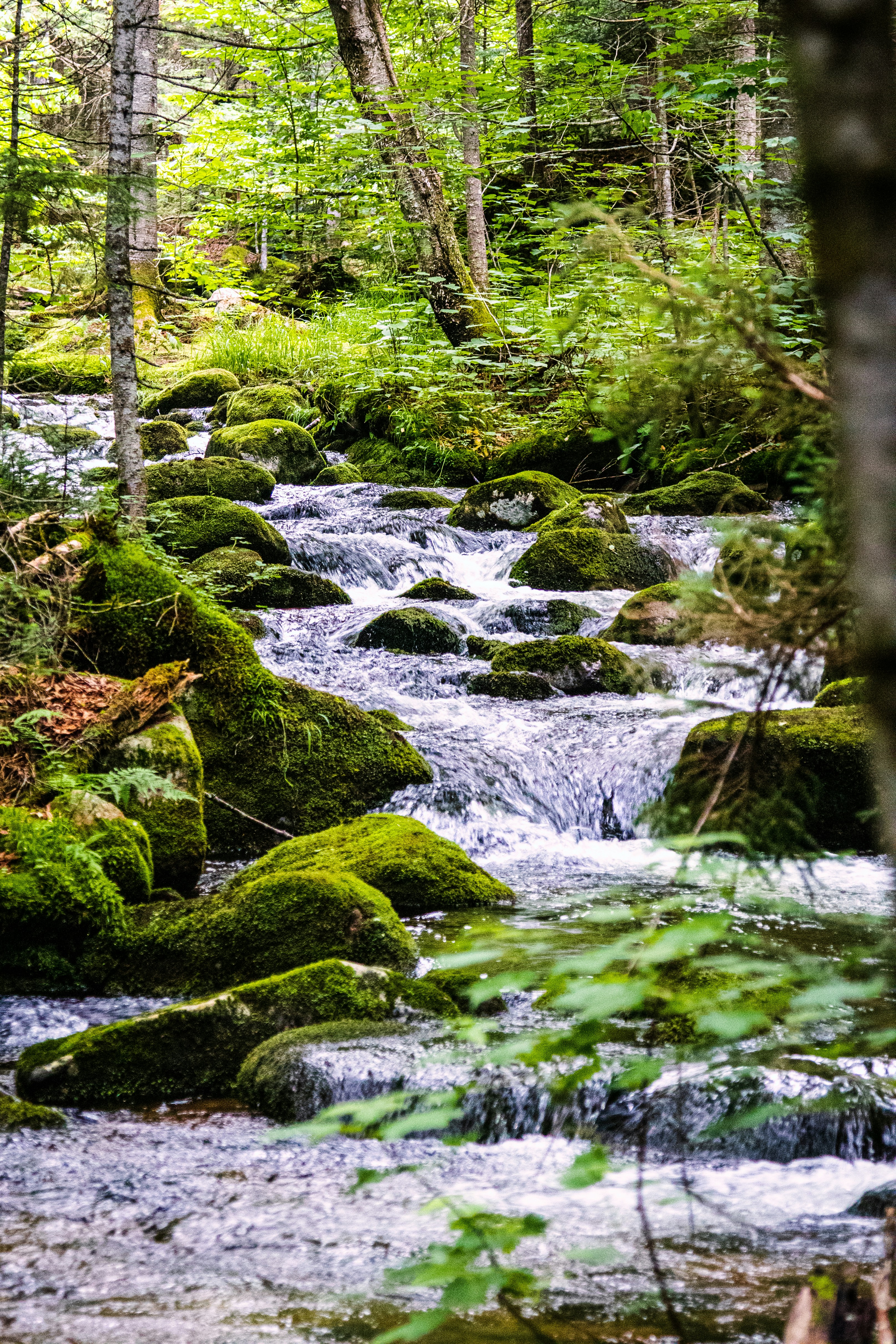 Photo by painchaud12