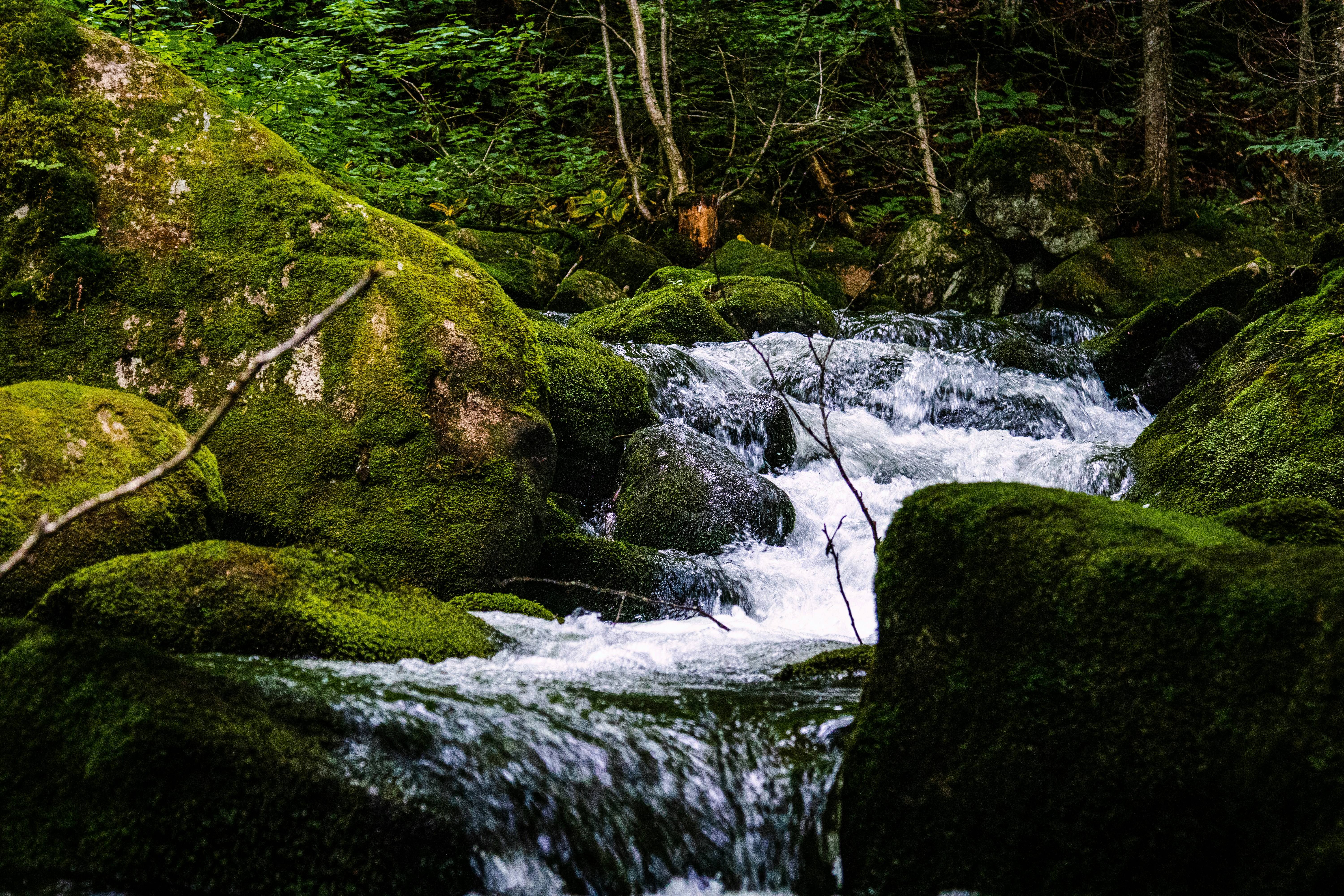 Photo by painchaud12