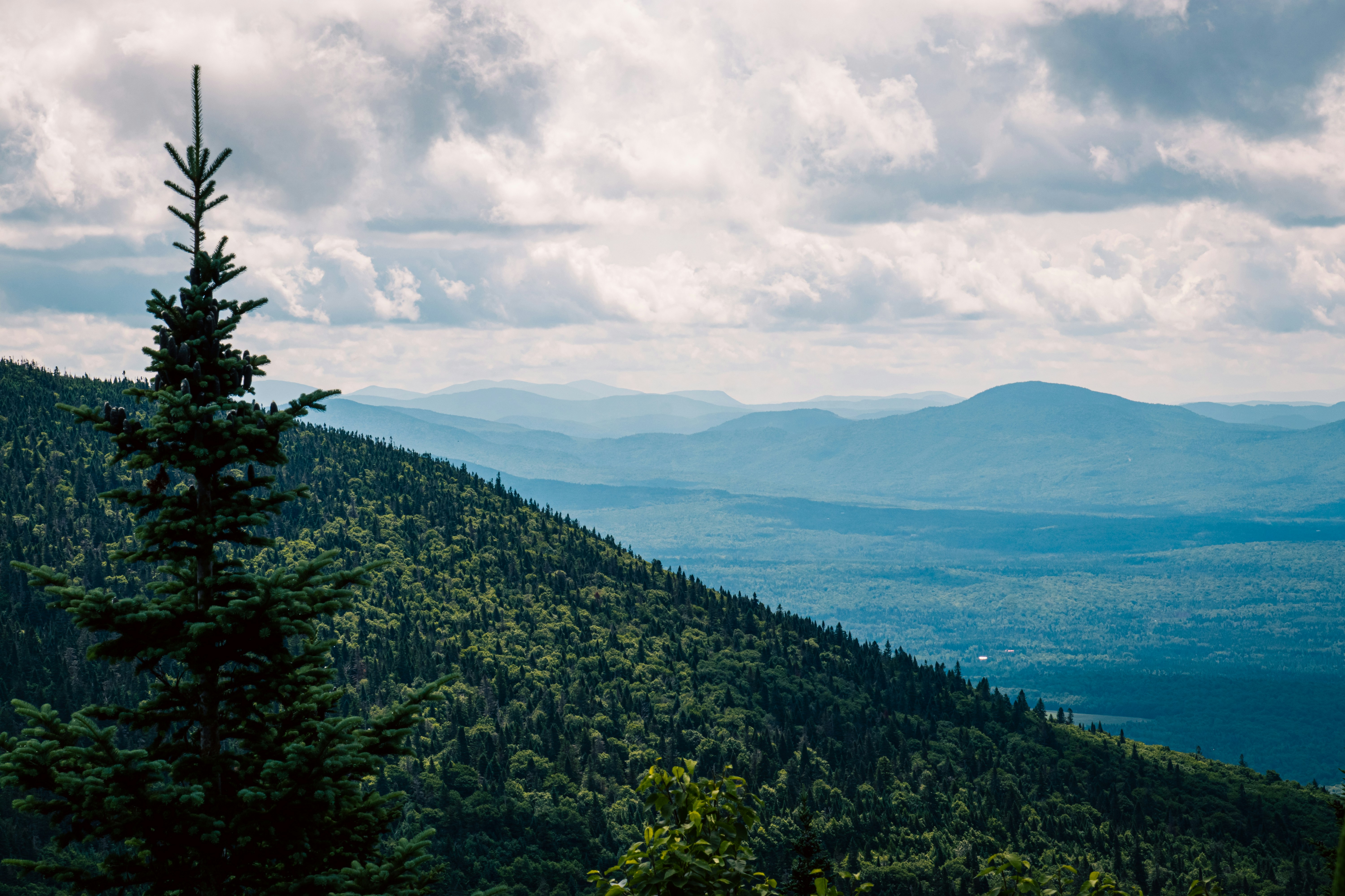 Photo by painchaud12